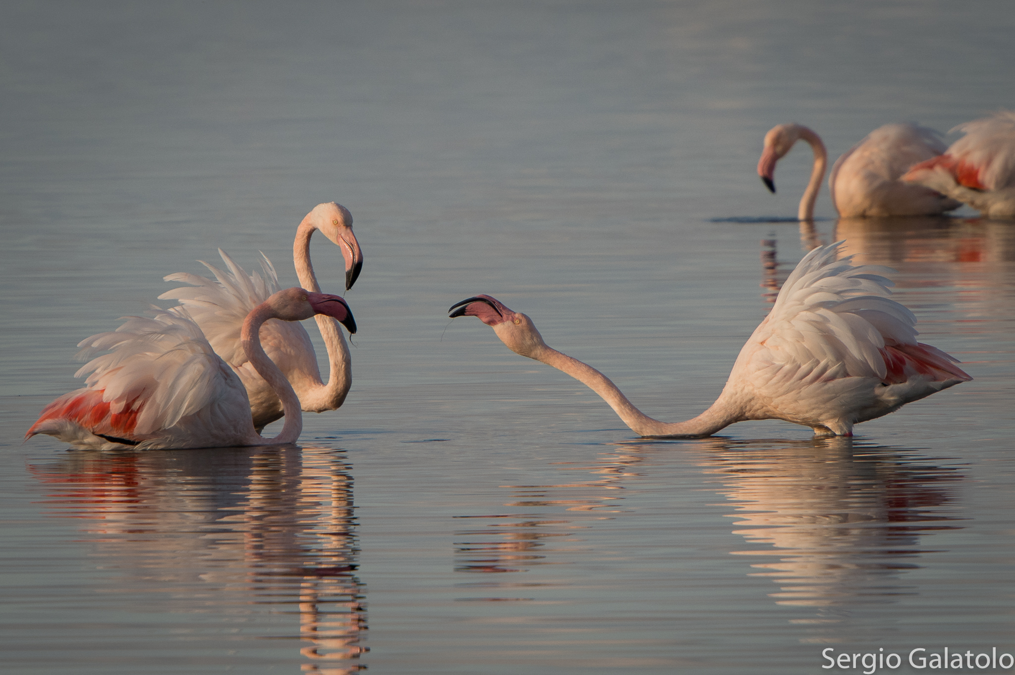 Laguna di Orbetello_1