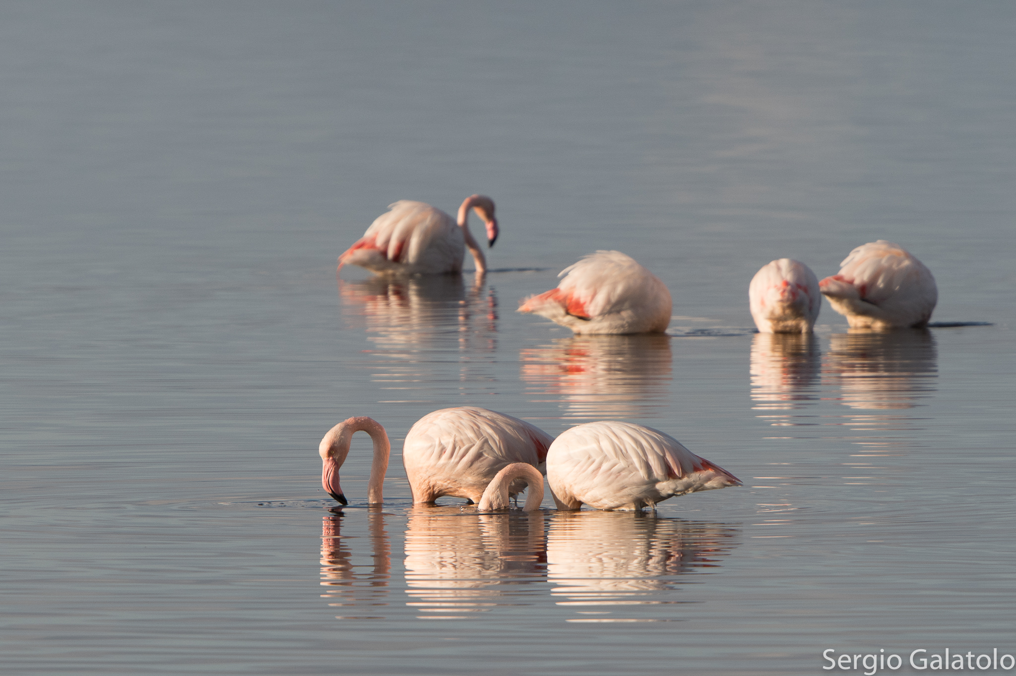 Laguna di Orbetello_2