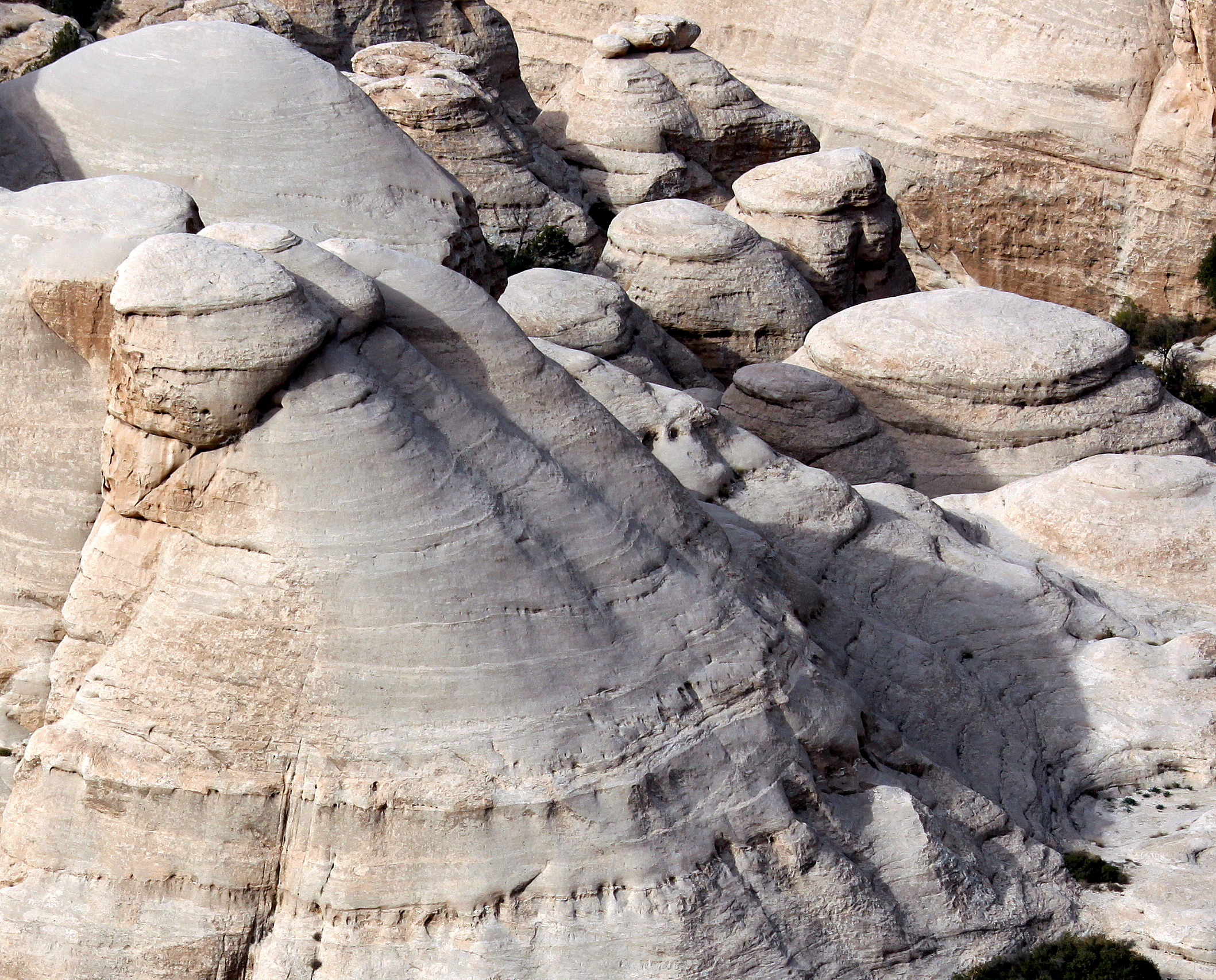 3782 - dana - Reserve