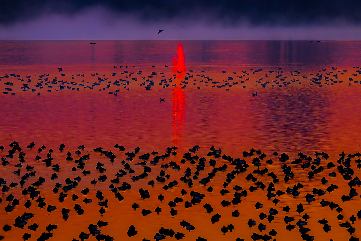 Sunrise at the Frassino