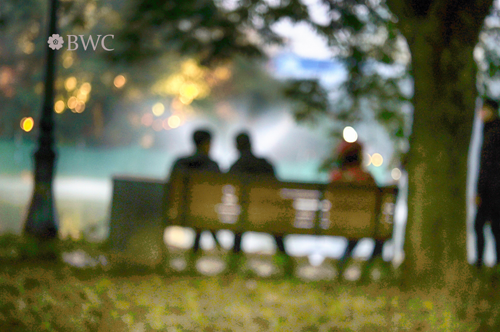 Dark Afternoon By The Lake