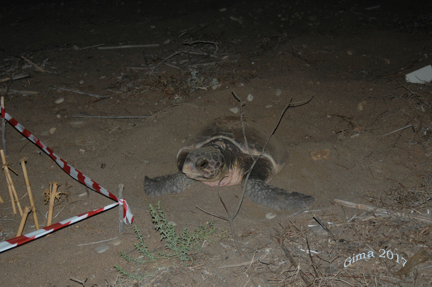 never a moment of tranquility