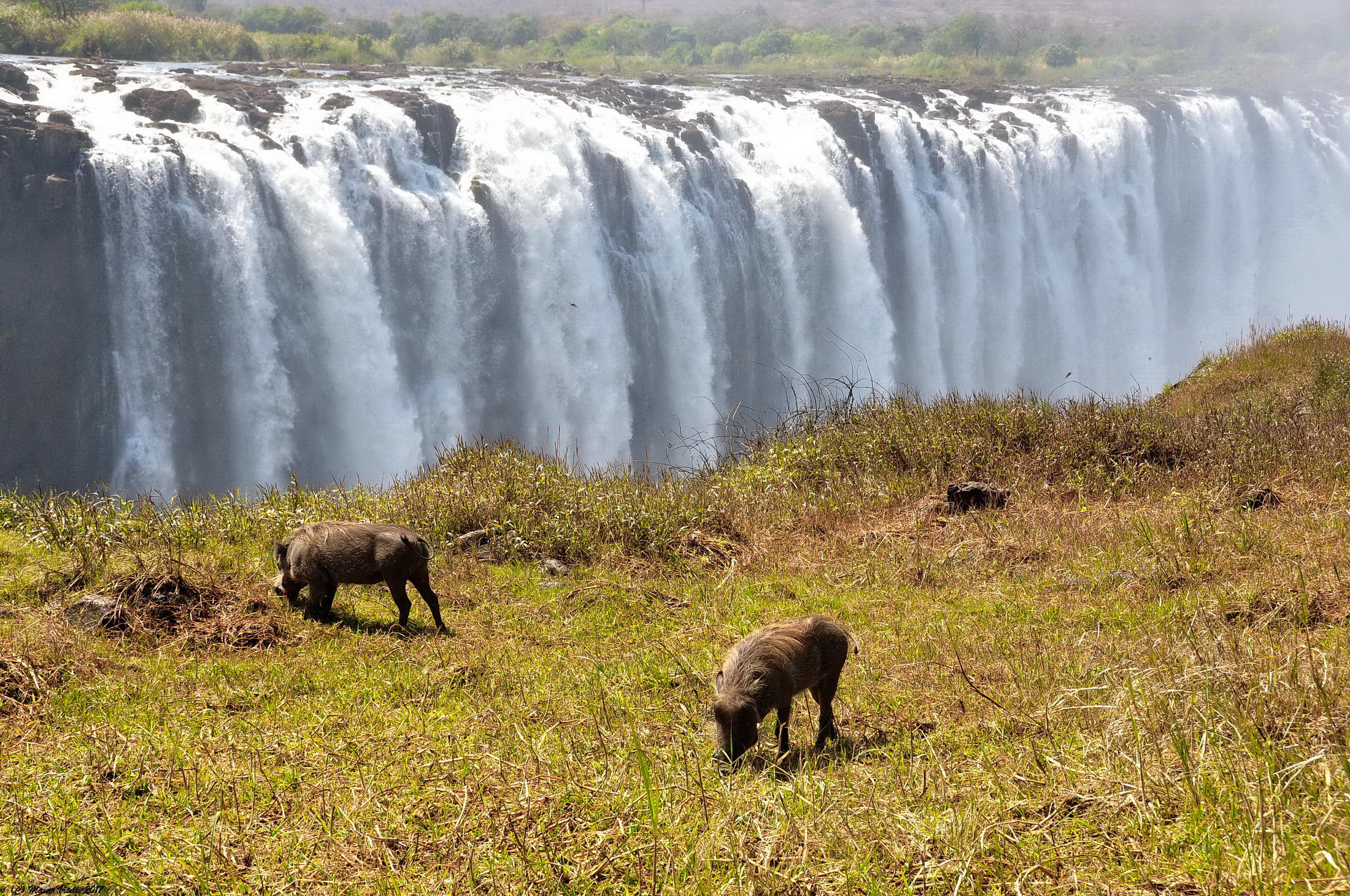 Cascate Vittoria (versante Zimbabwe)