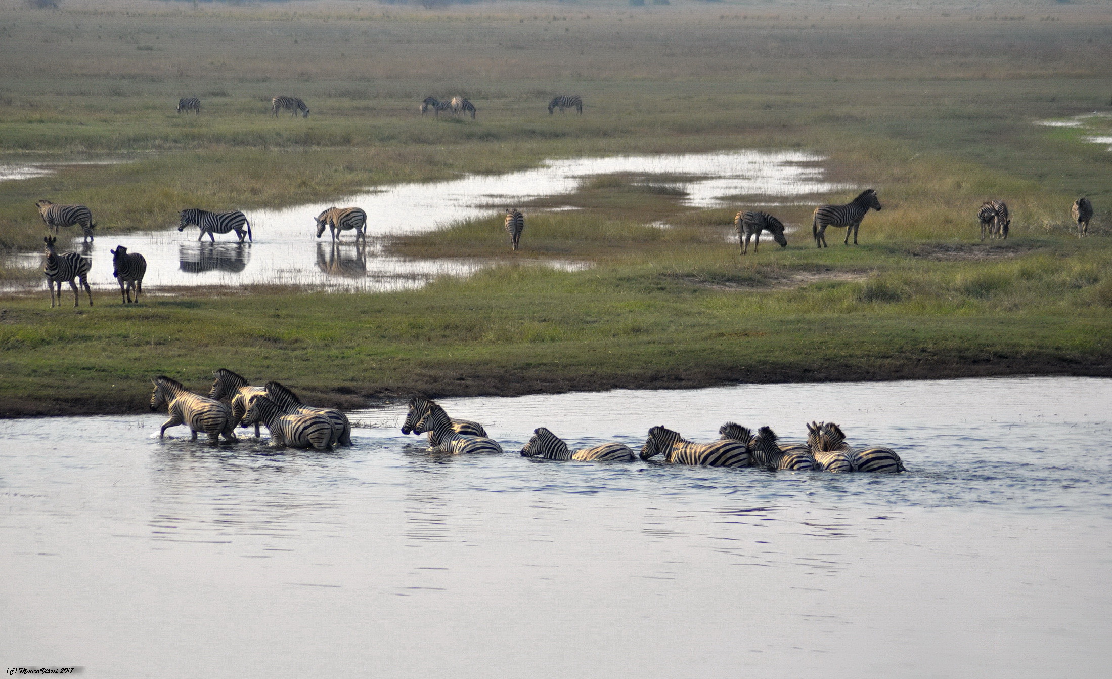Dal Botswana alla Namibia