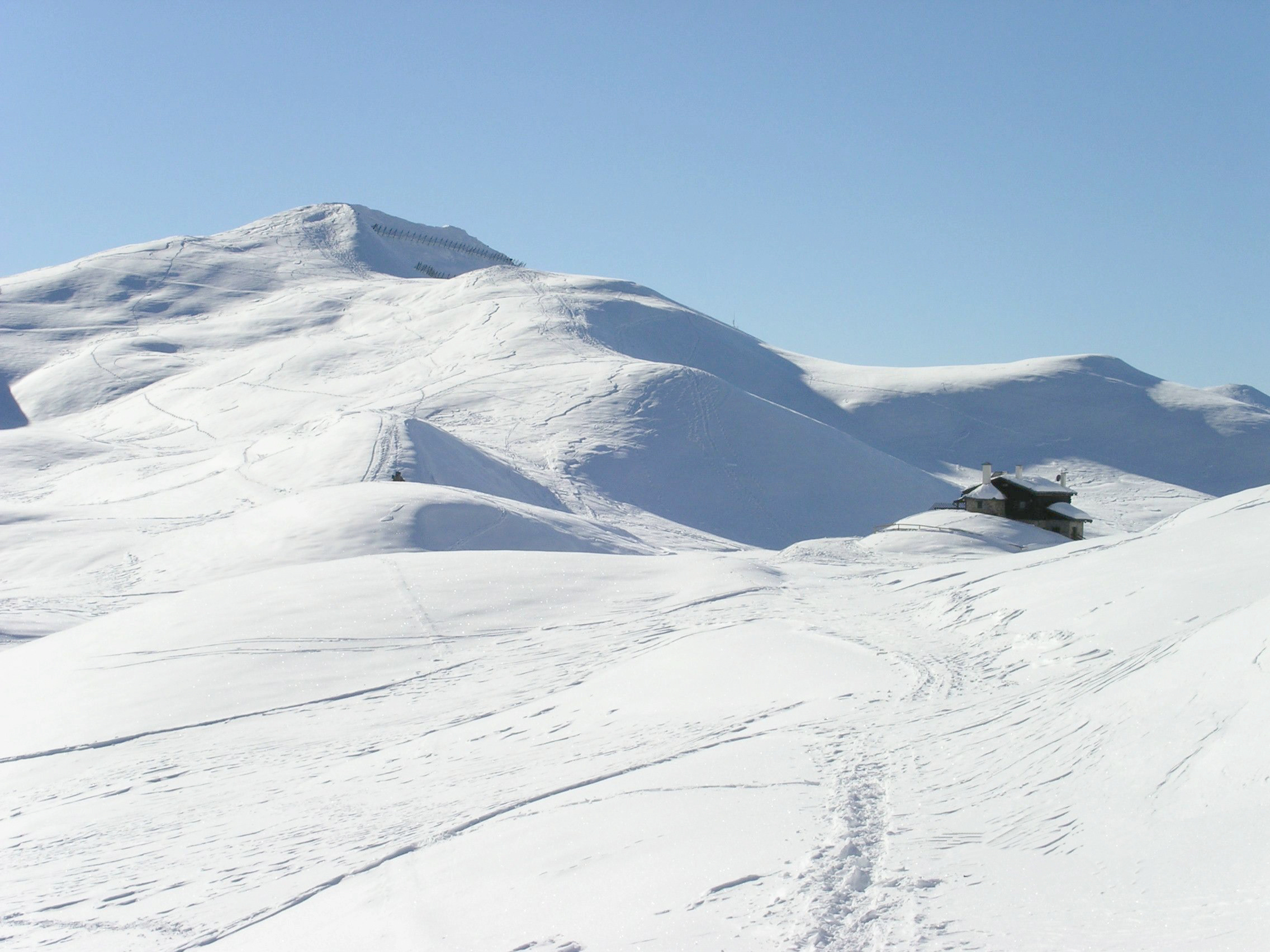 La solitudine dei numeri primi