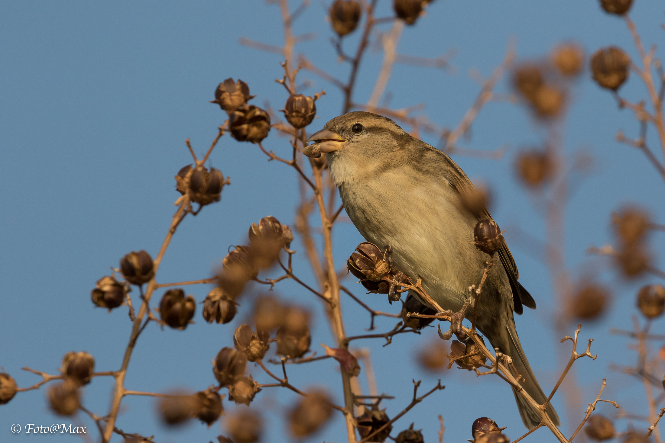 we do not throw away anything!