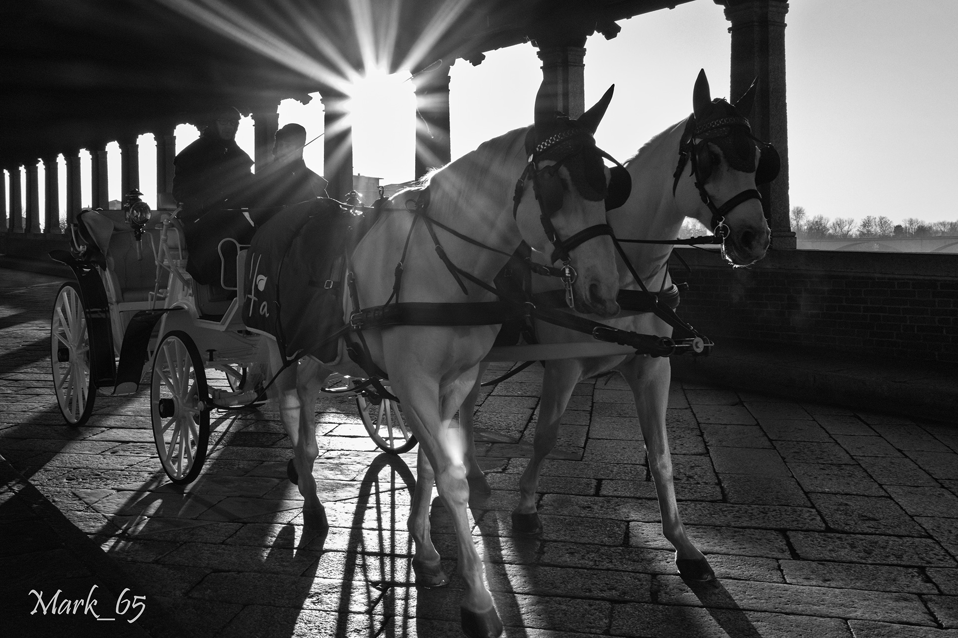 a mistake in the city