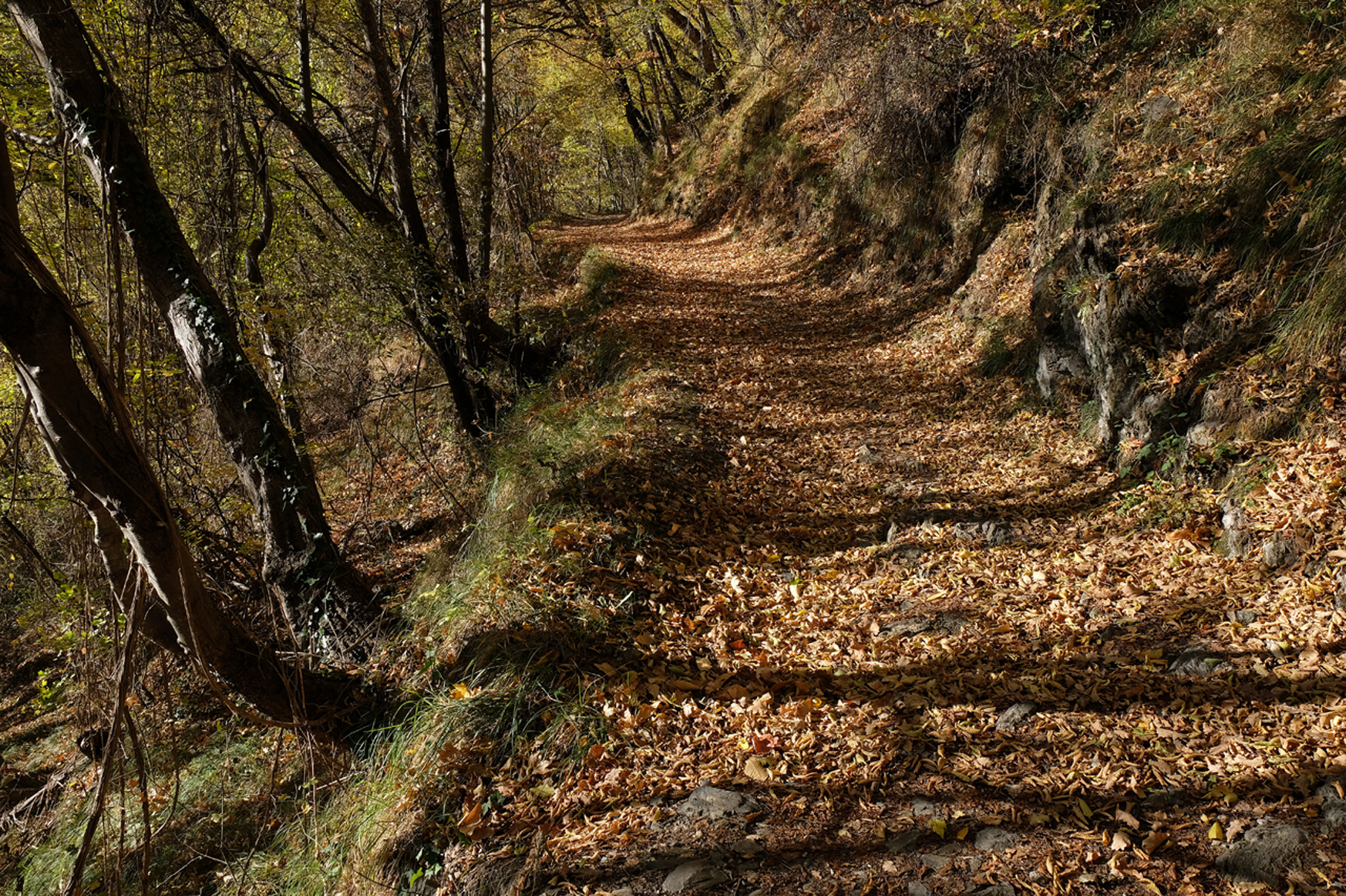 Sentiero d'Autunno