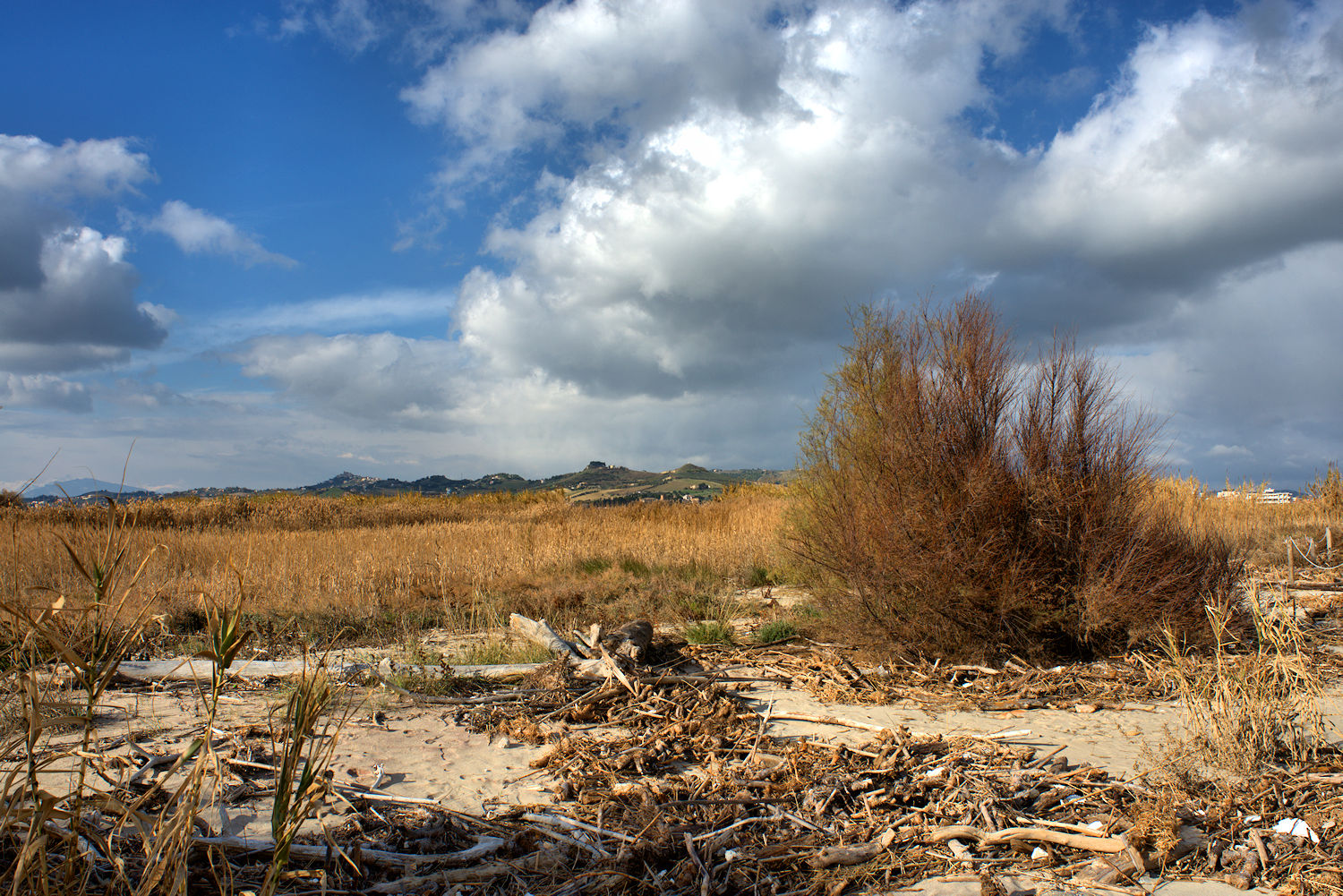 Beach of San Benedetto del Tronto