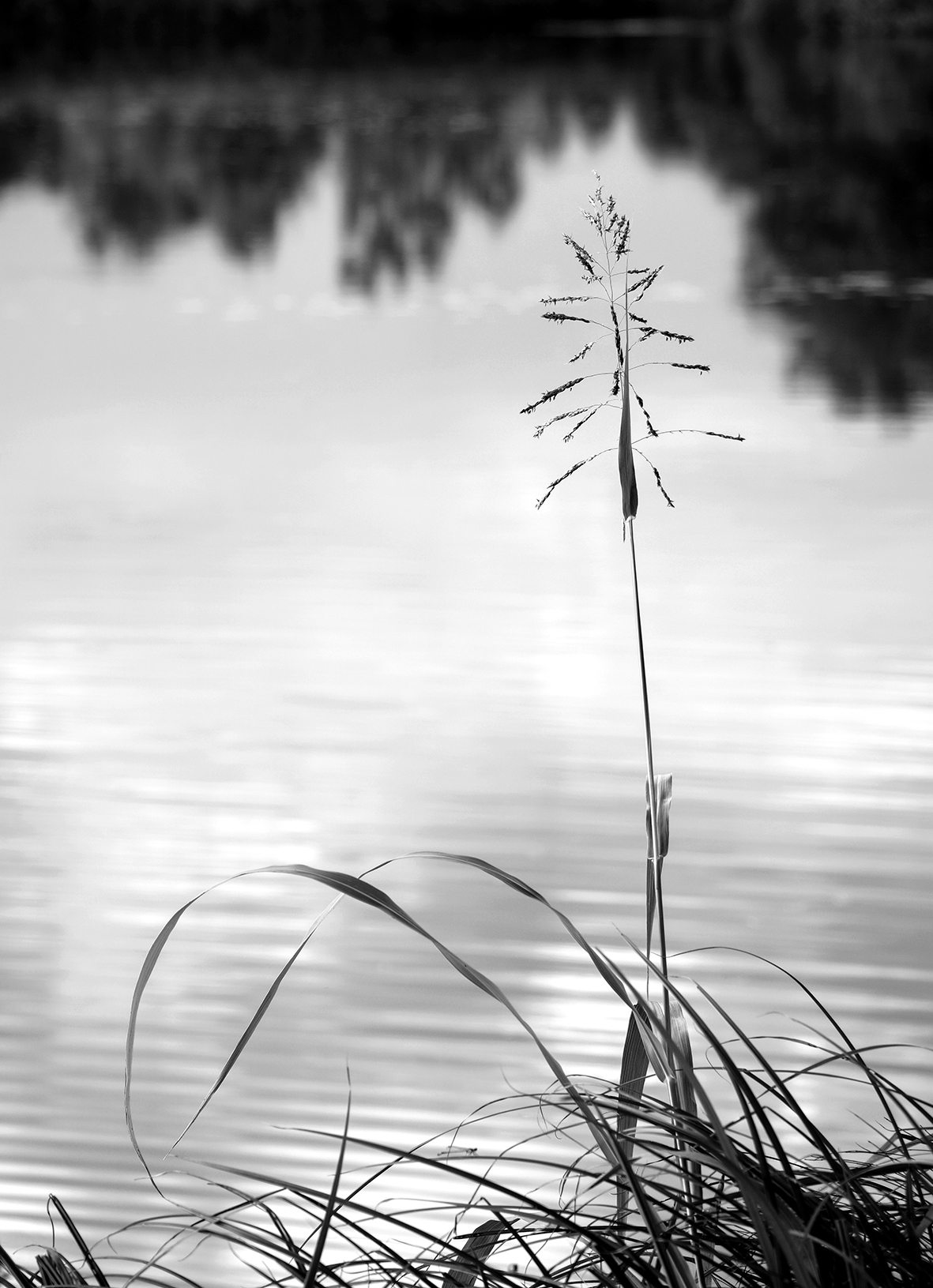 a thread on the water