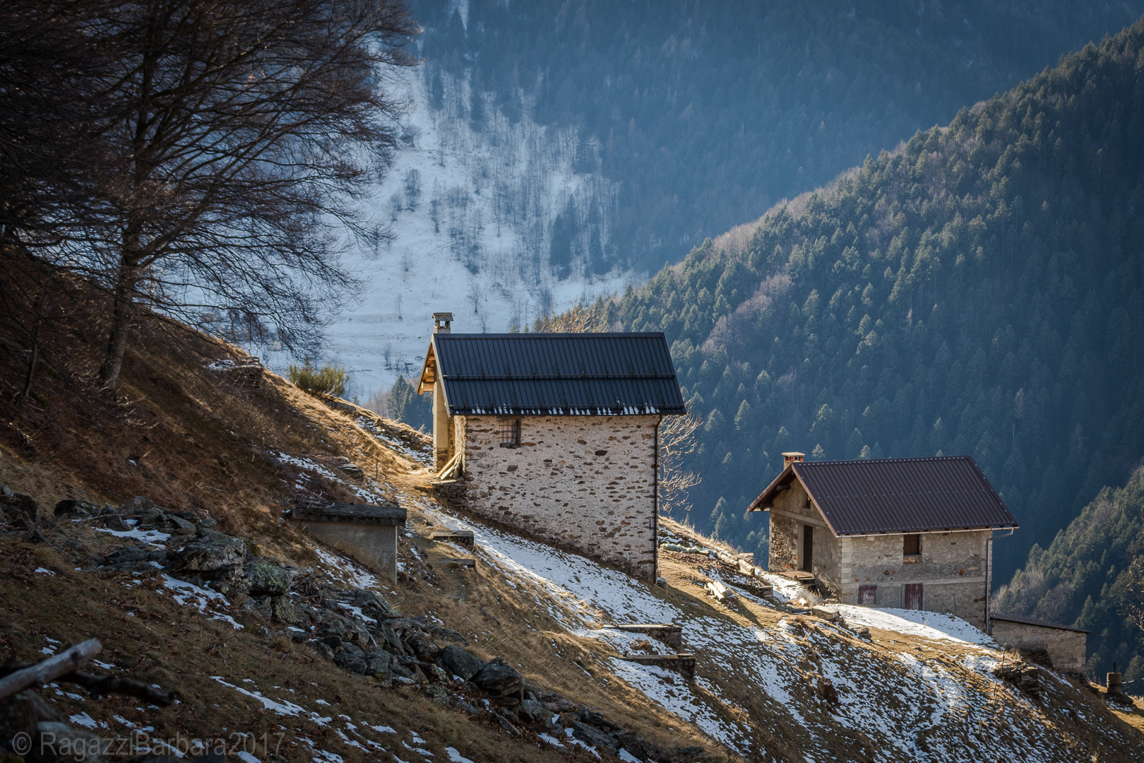 Una in faccia all'altra