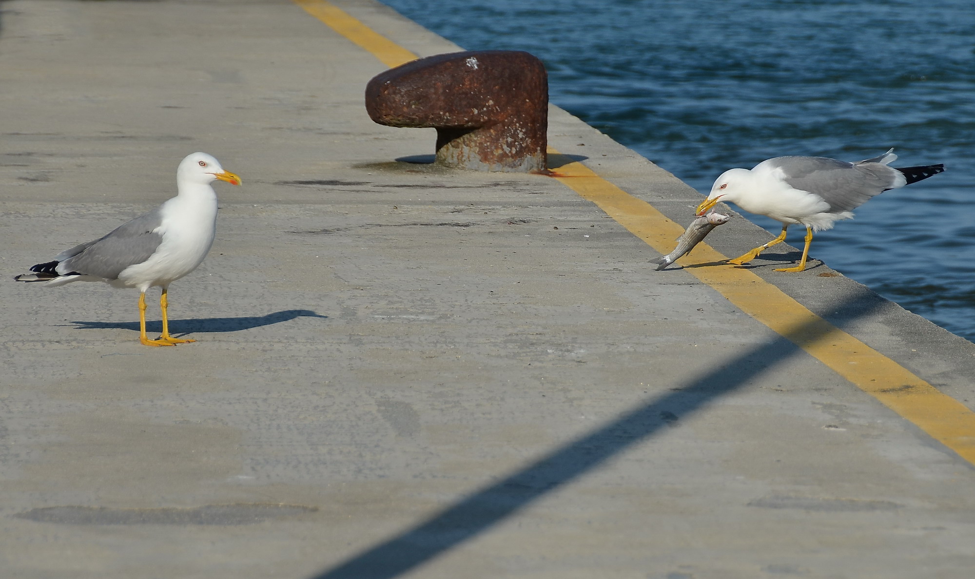 chi tardi arriva.......................