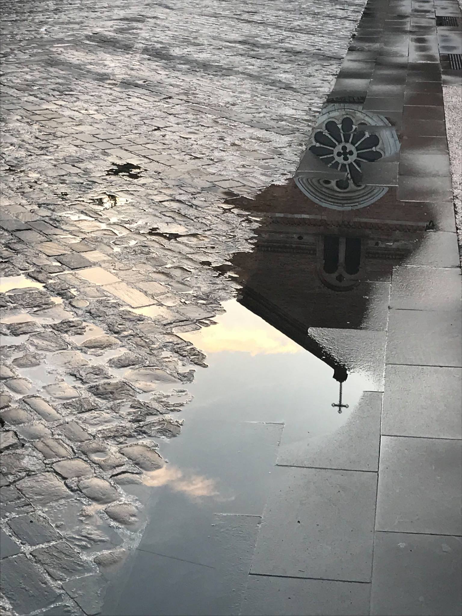 Istantanea dopo la pioggia