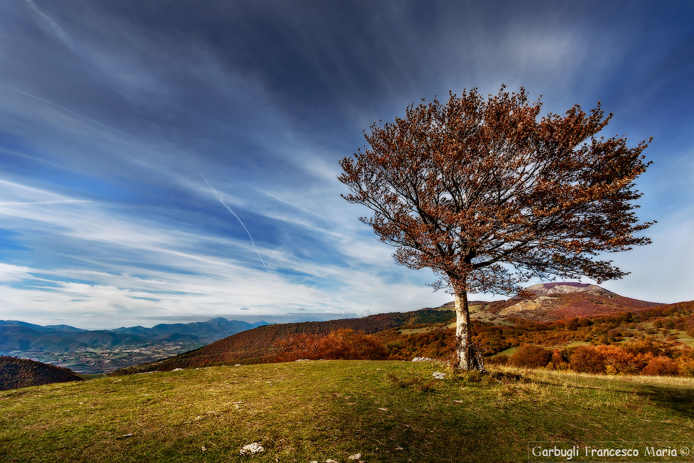 Panorama from Canfaito