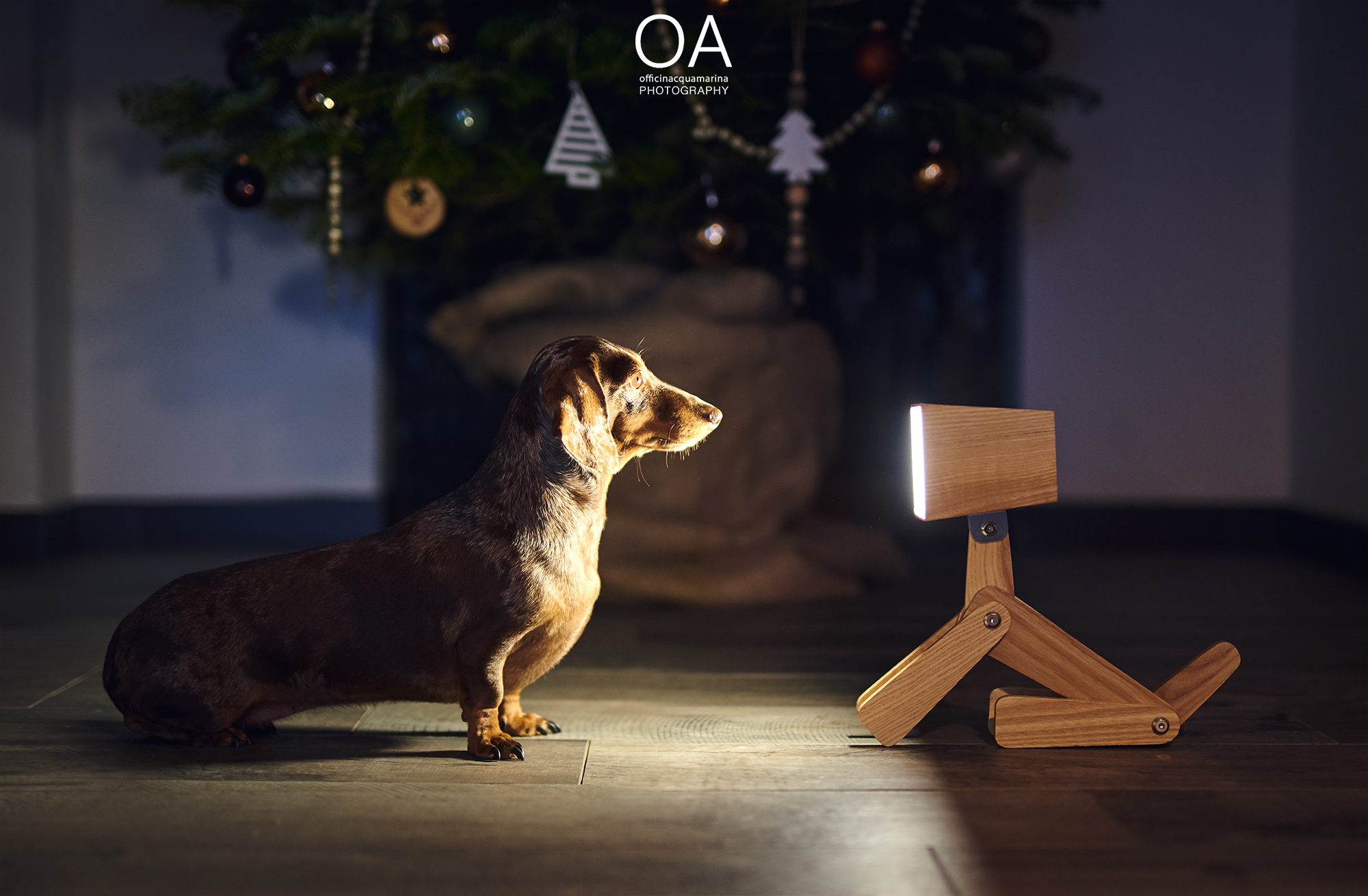 Find the differences