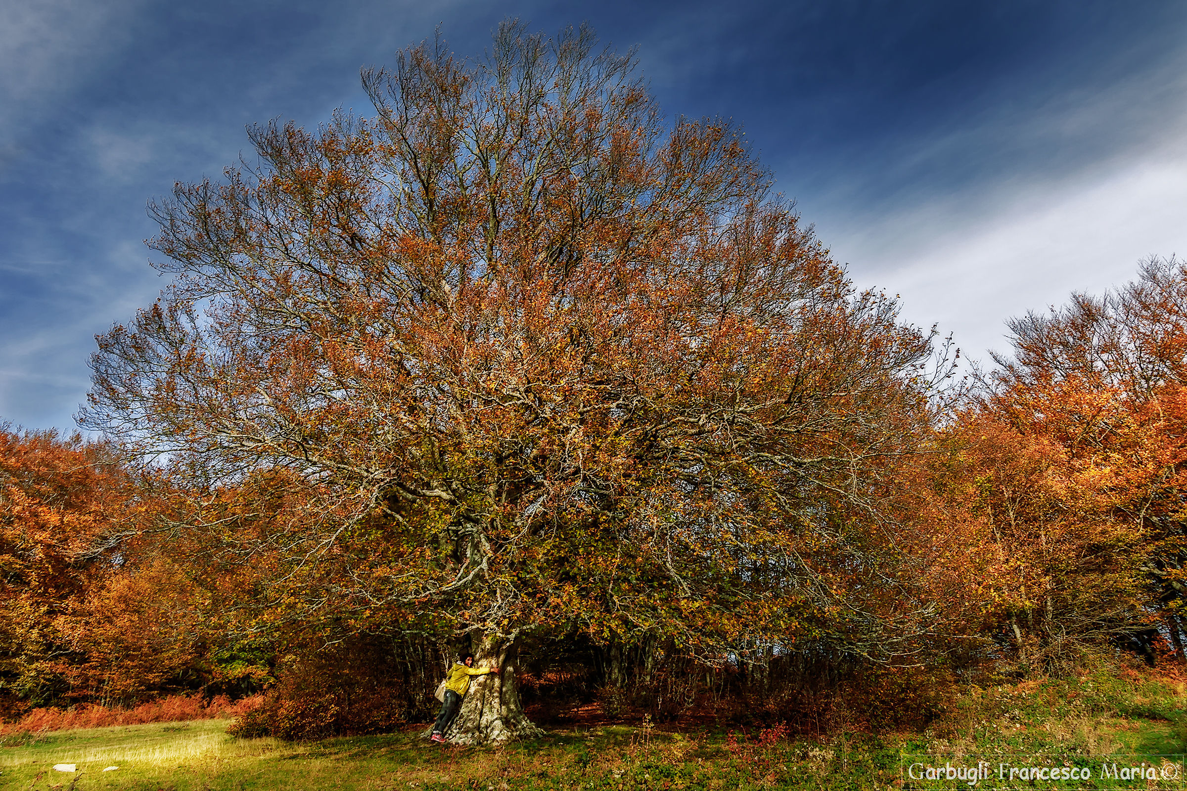 Natural hugs ..........