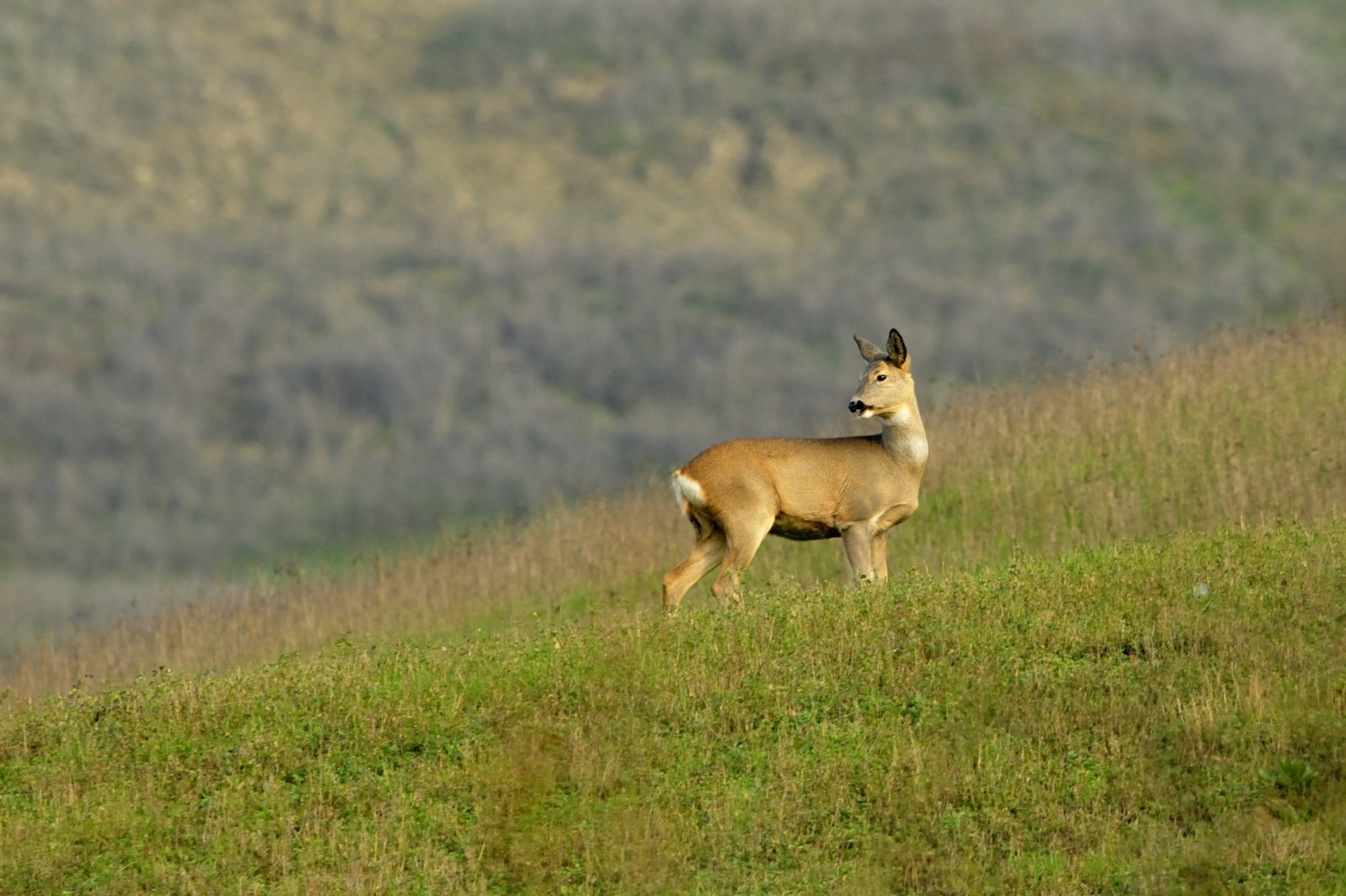 Giovane mamma con vestito invernale
