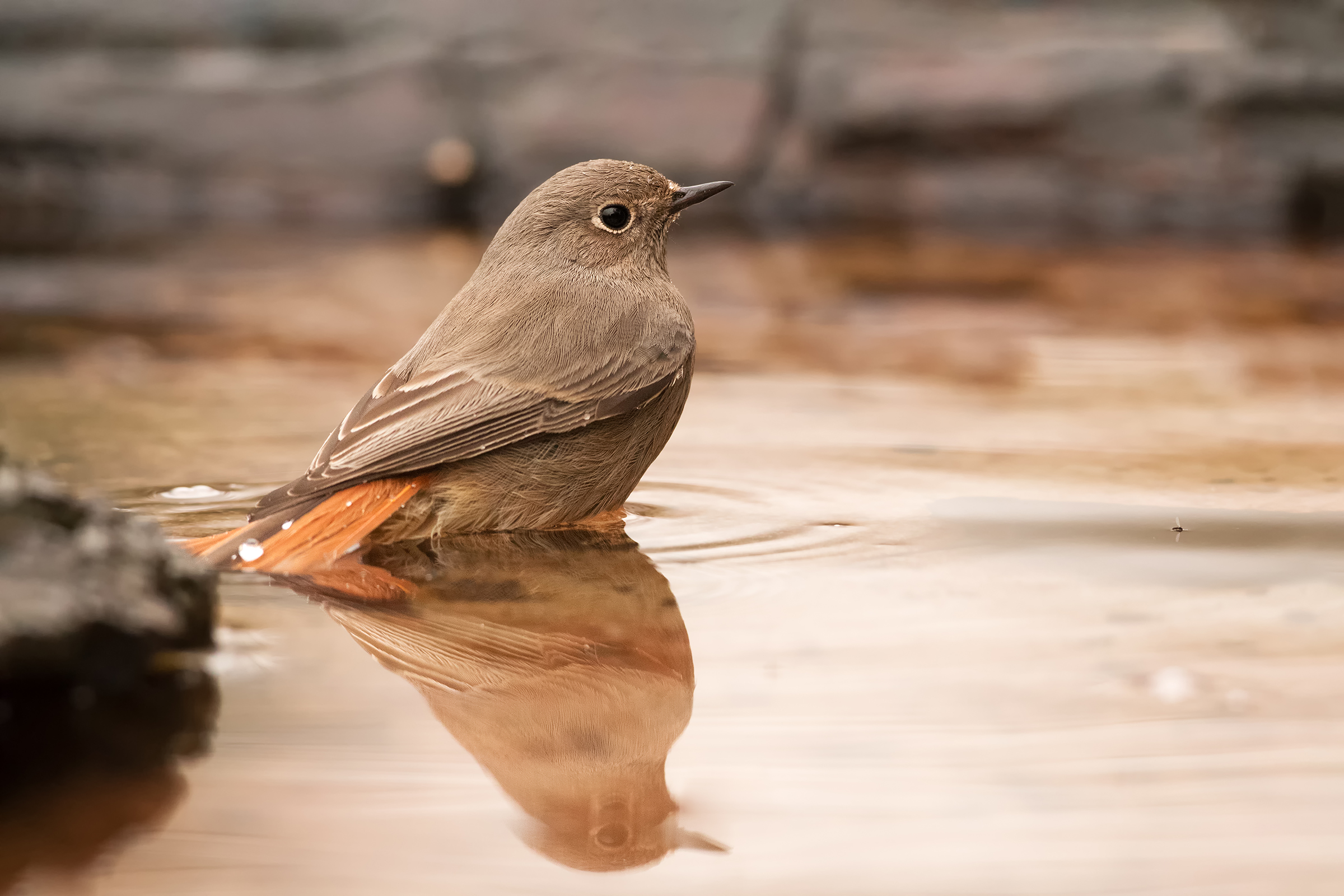 the redhead in the bathroom