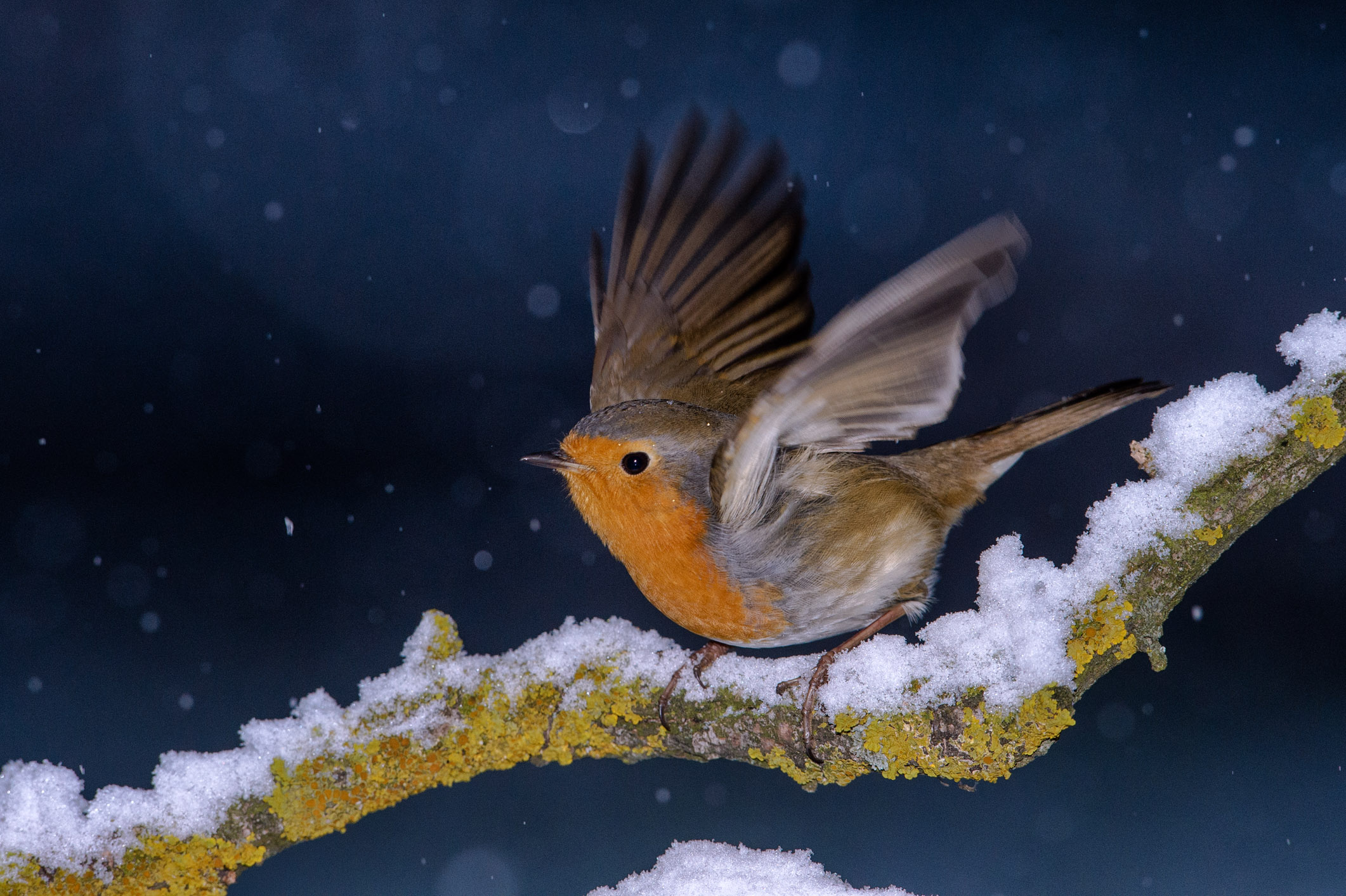 Snow at low altitude