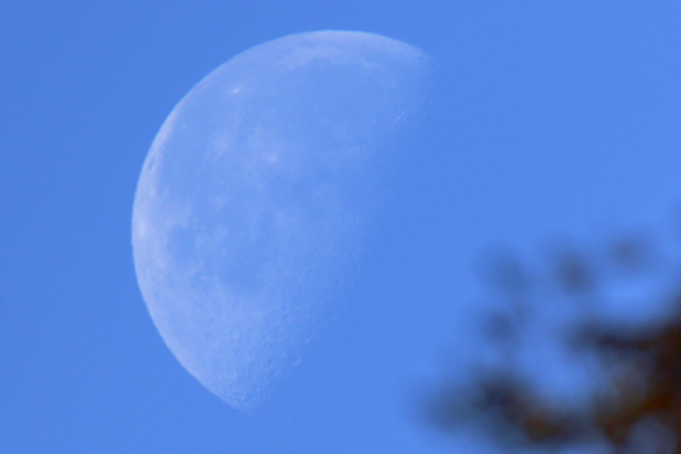Daytime moon