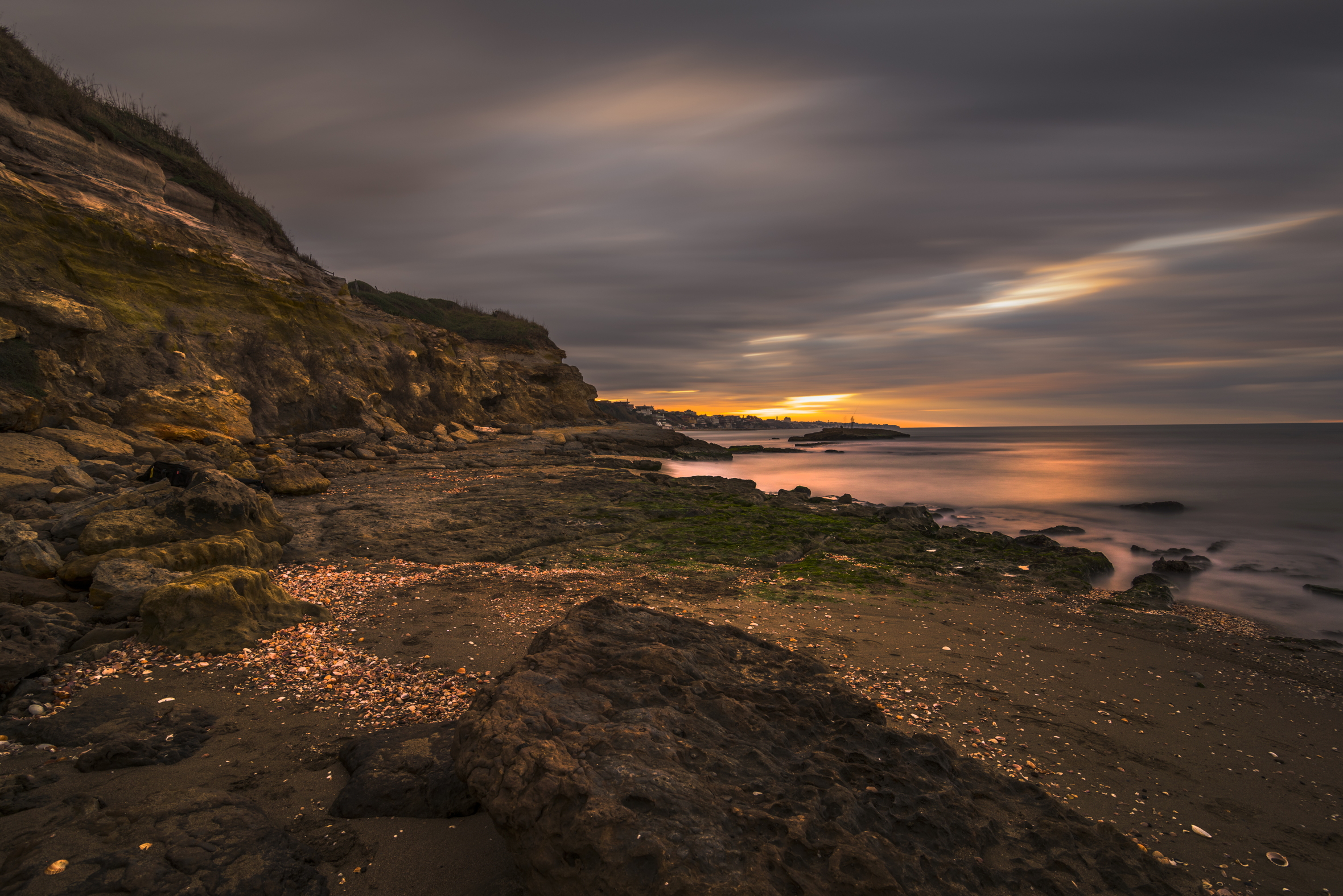 Conchiglie sulla sabbia all'alba