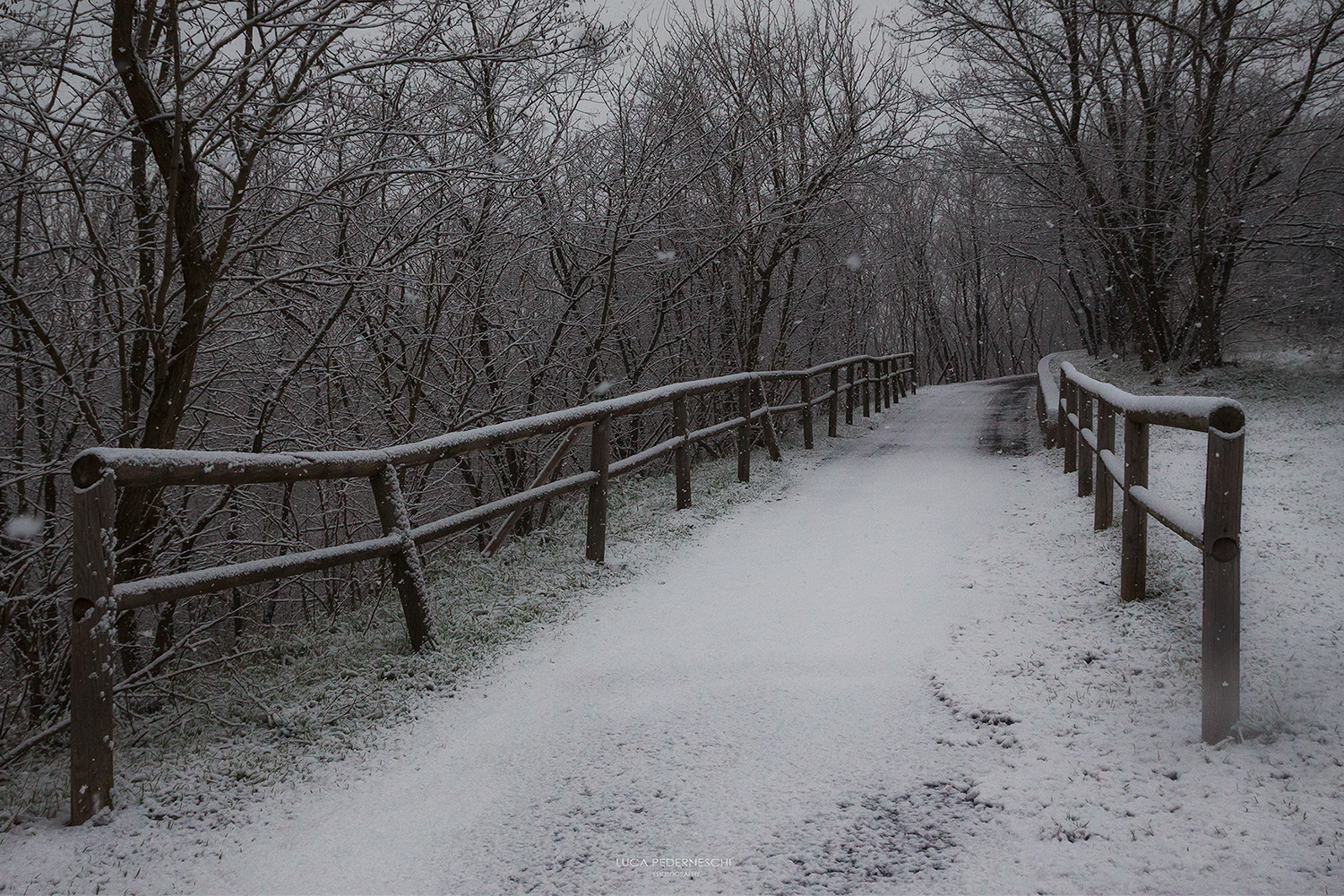 The road in the winter