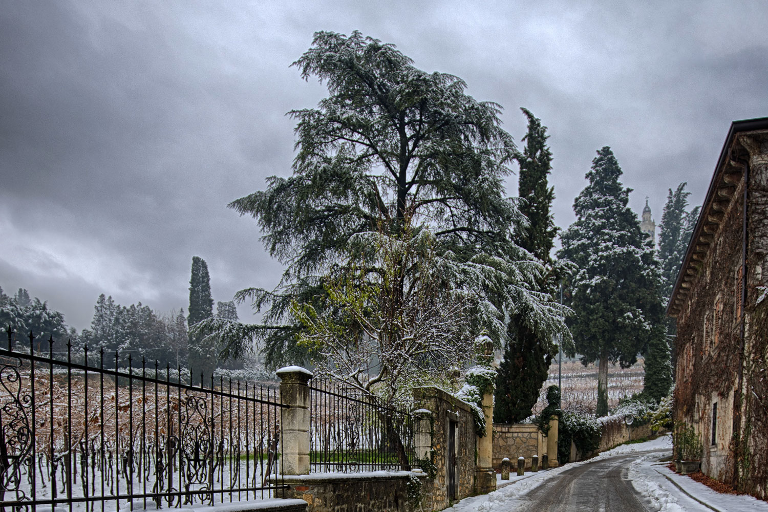 Neve a colognola ai Colli