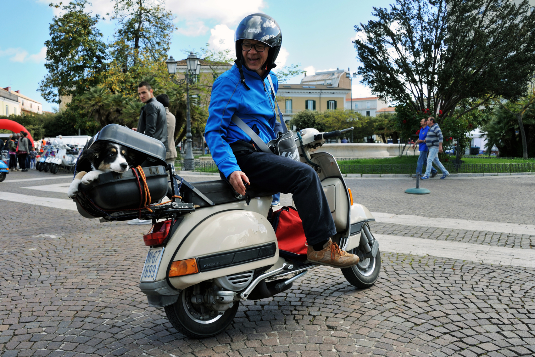 With the dog at the meeting