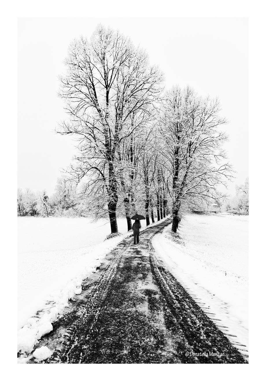 The silence of the morning