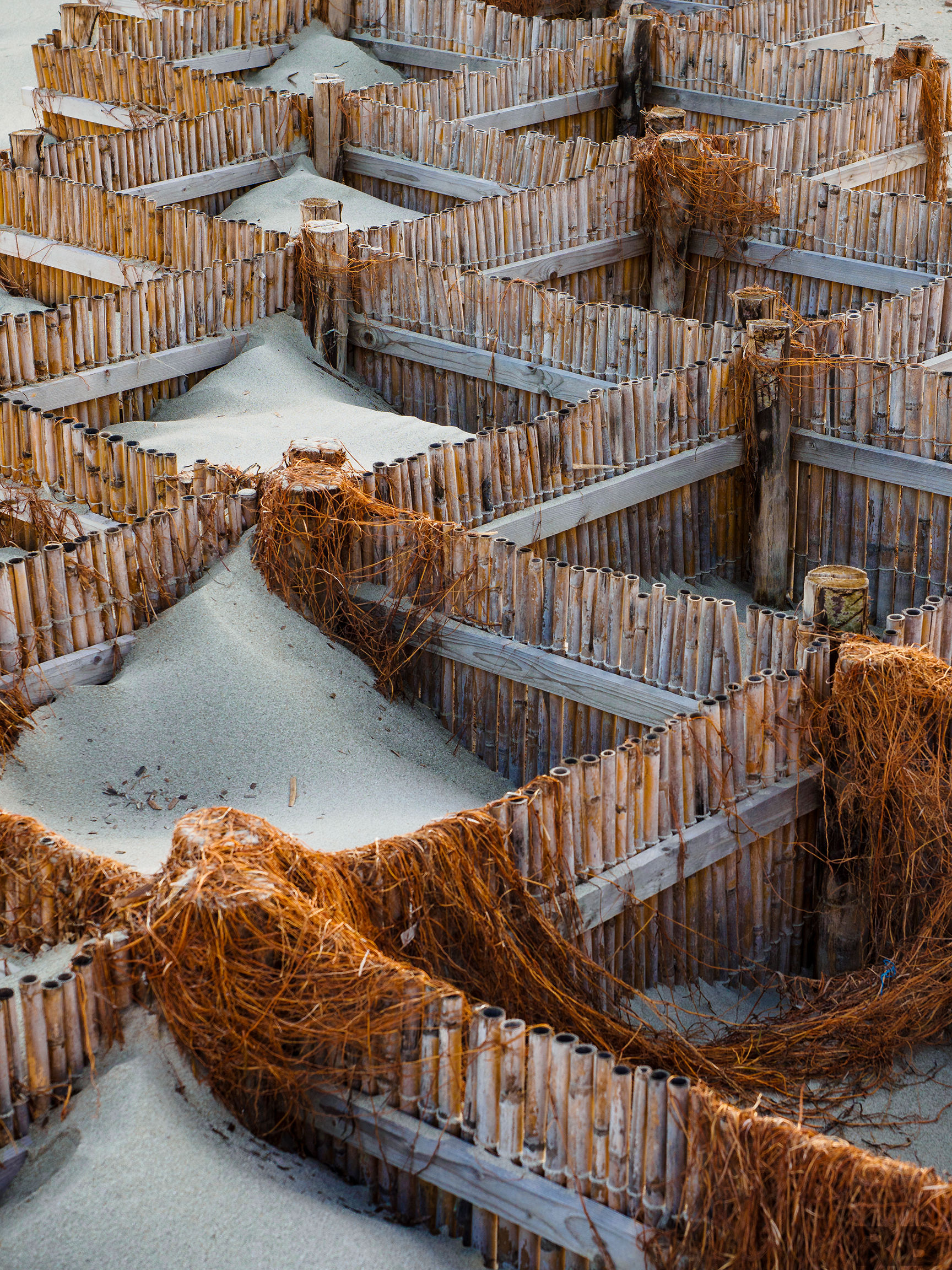 Nursing at the Poetto