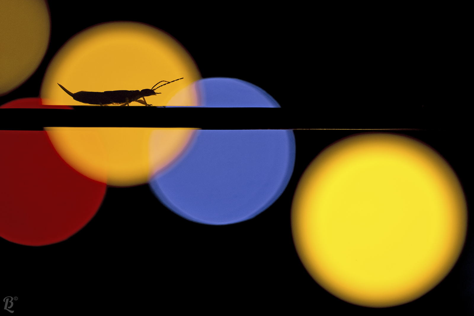 Luci della città(fotografia a km 0)