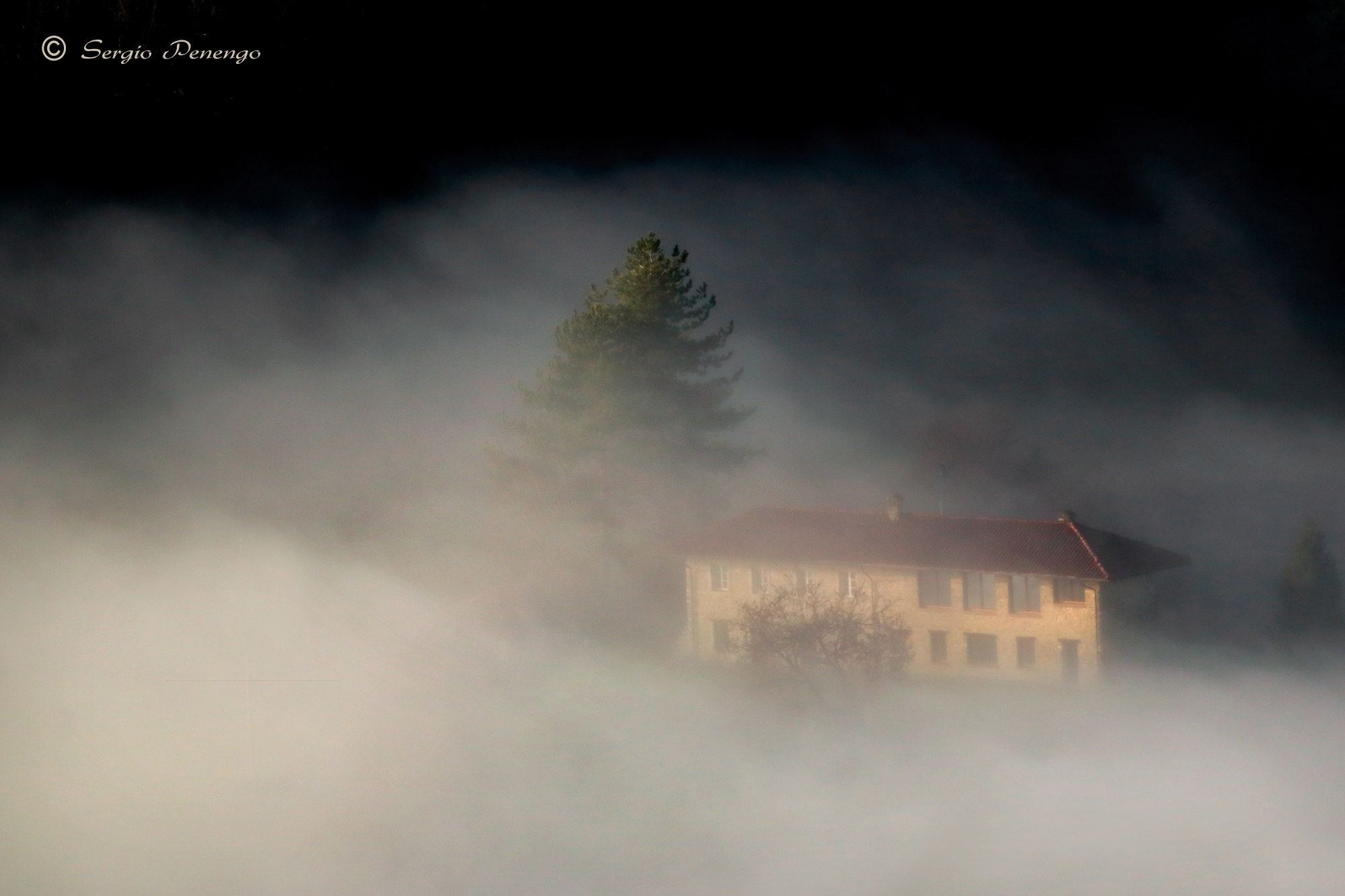 "THE HOUSE IN THE FOG"