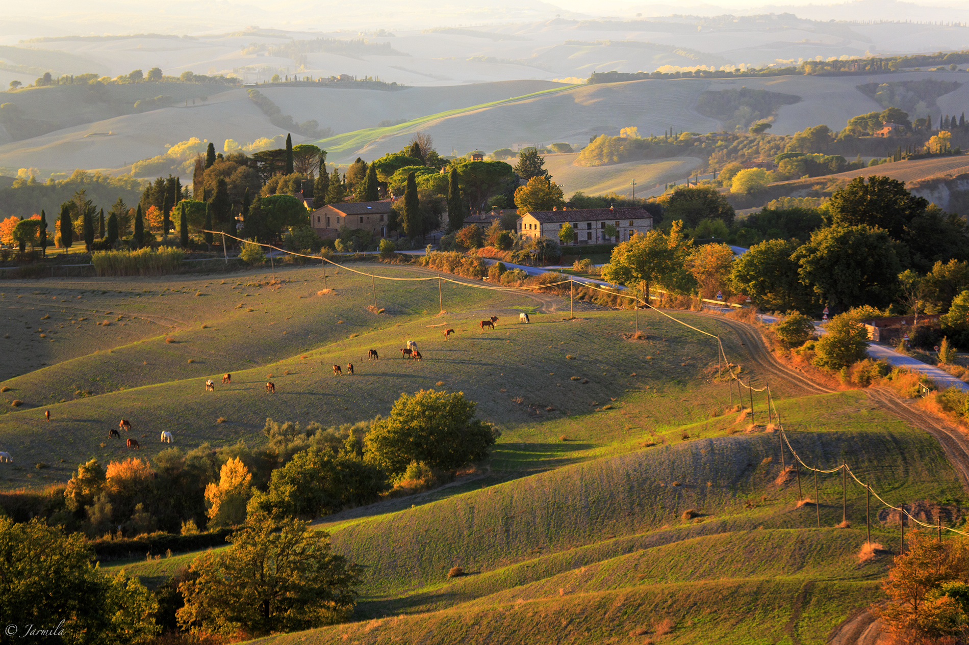 The quiet of the Tuscan sunset