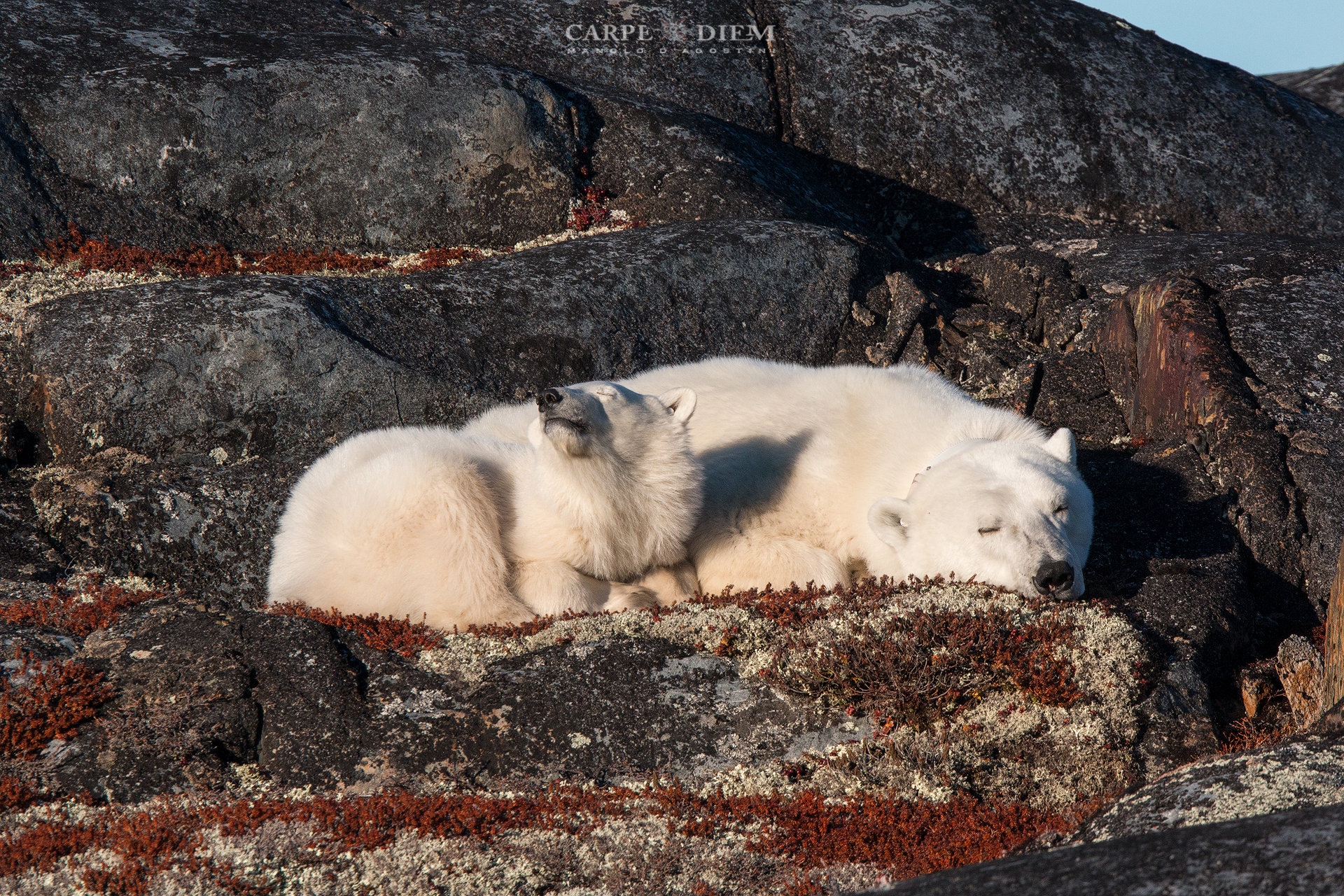 Accarezzato dal vento