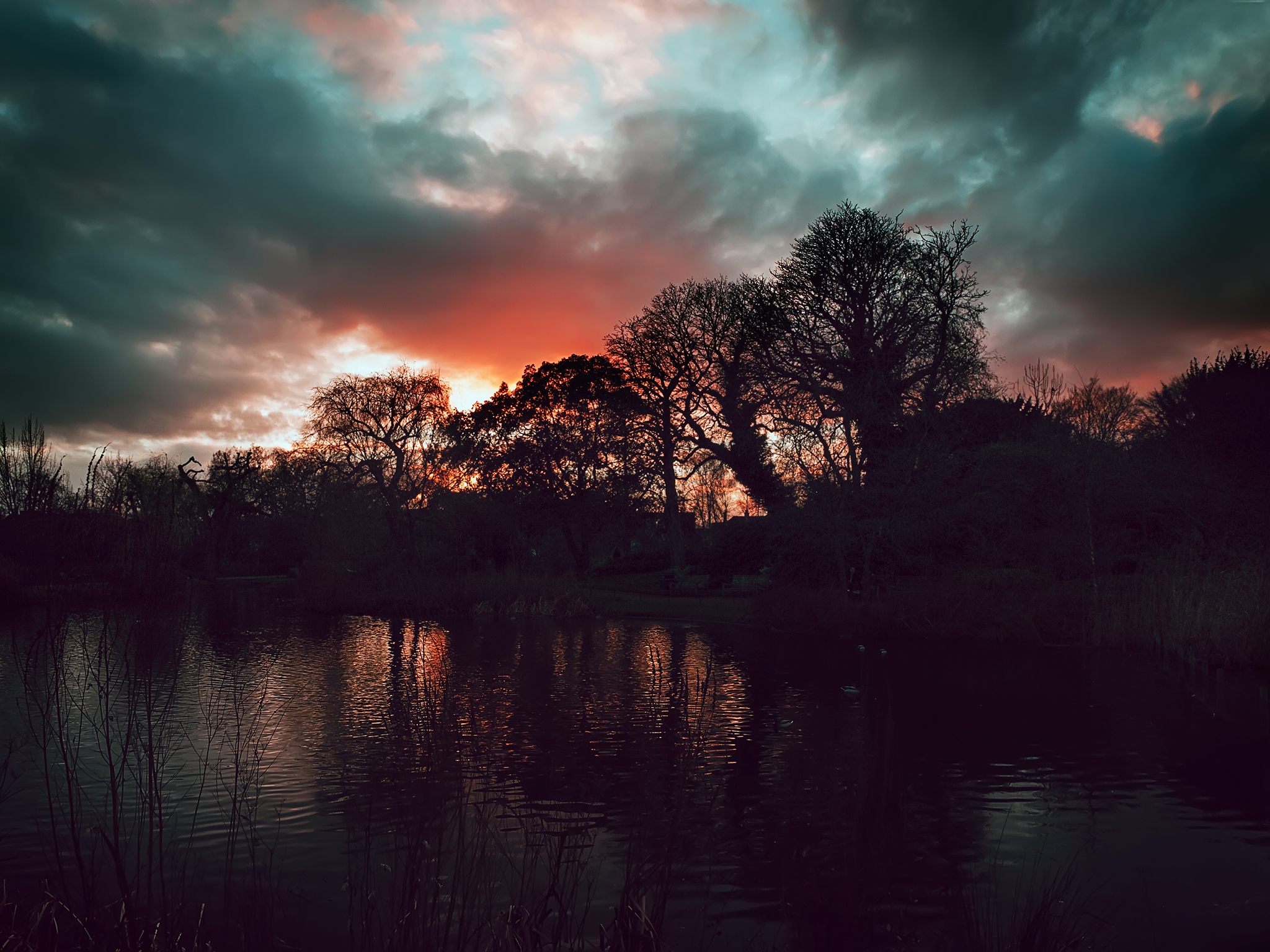 Can You See The Silence?