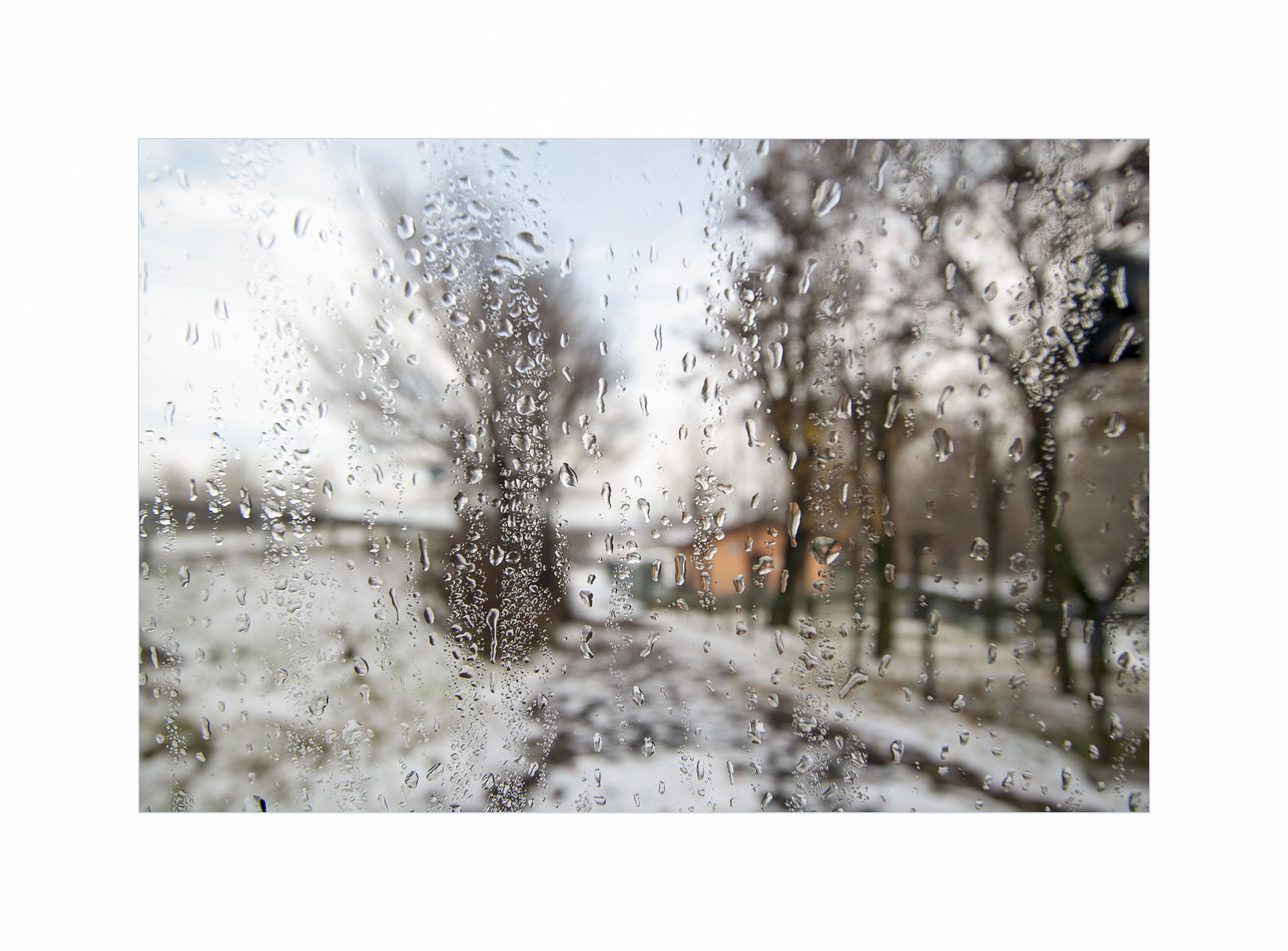 La casetta del parco