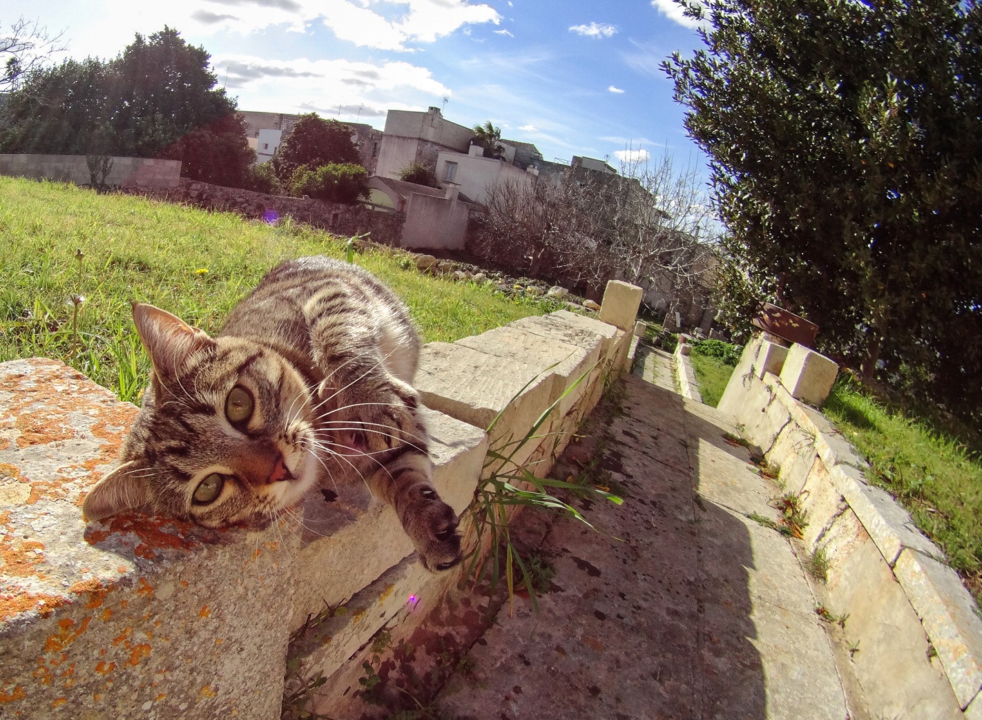 Vita tranquilla nel Salento