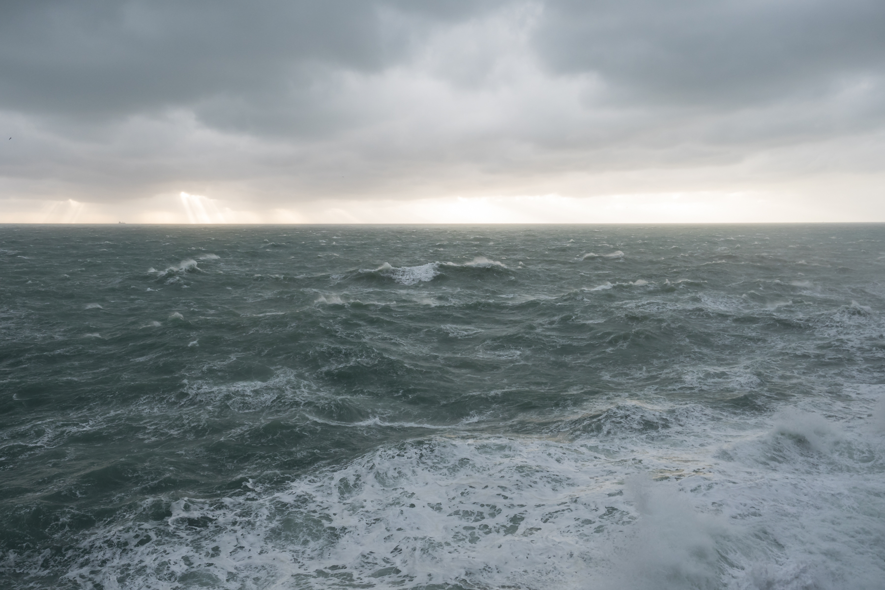 At the mercy of the wind