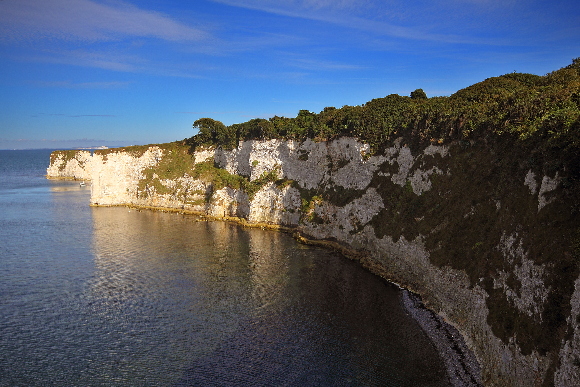 Selvaggie Old Harry Rocks
