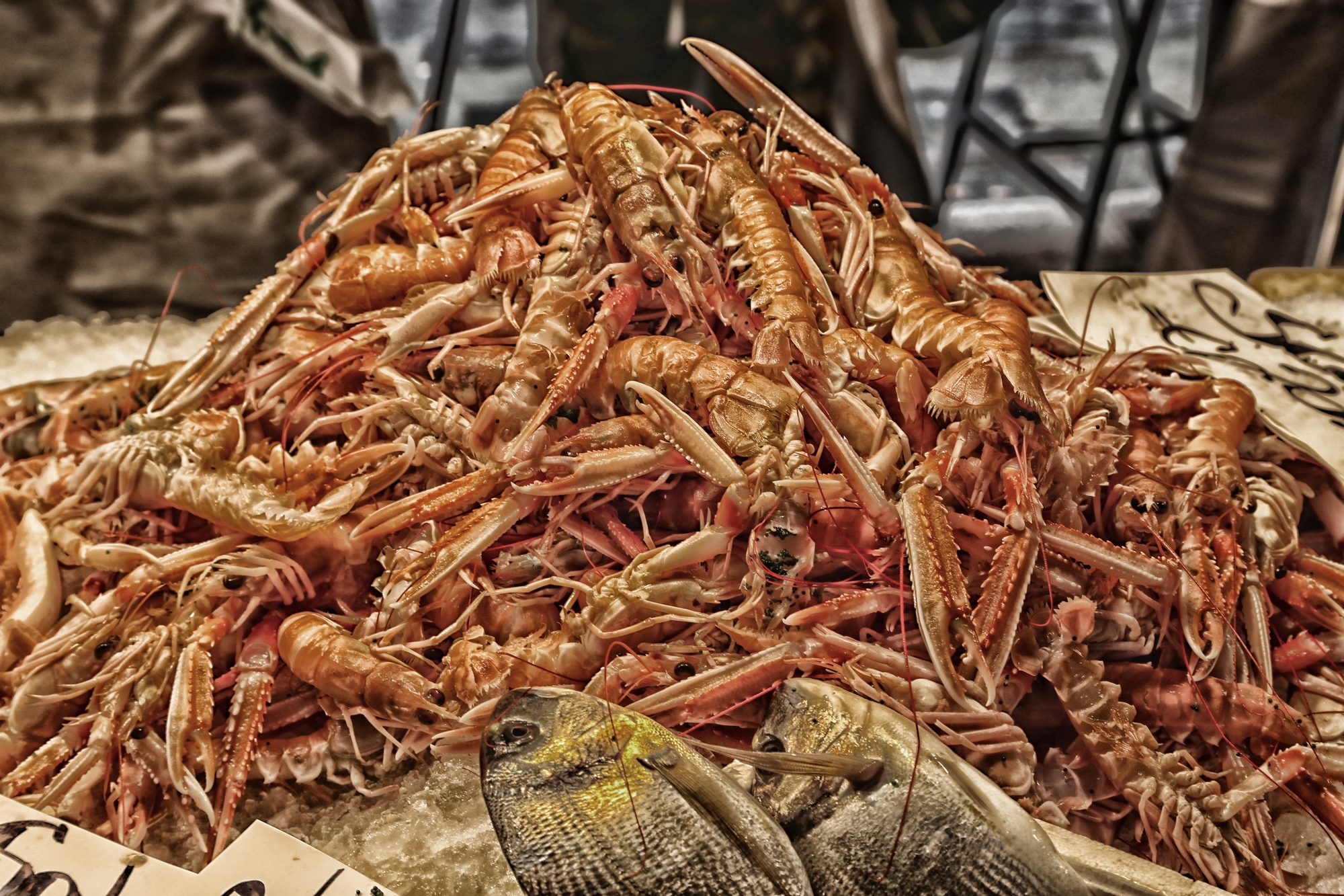 a mountain of scampi