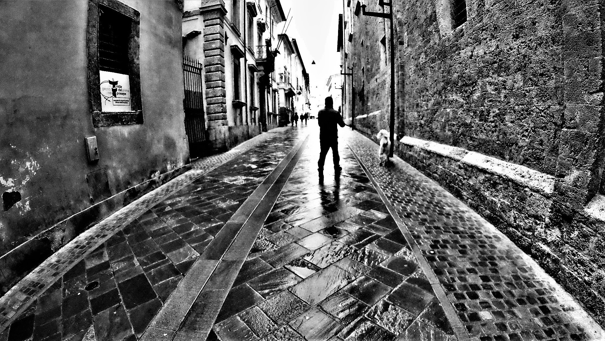 A passeggio con il cane