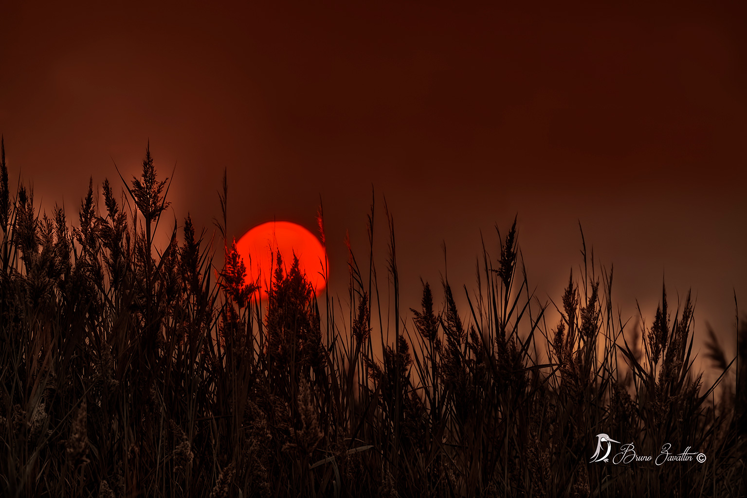 Tramonto al canneto