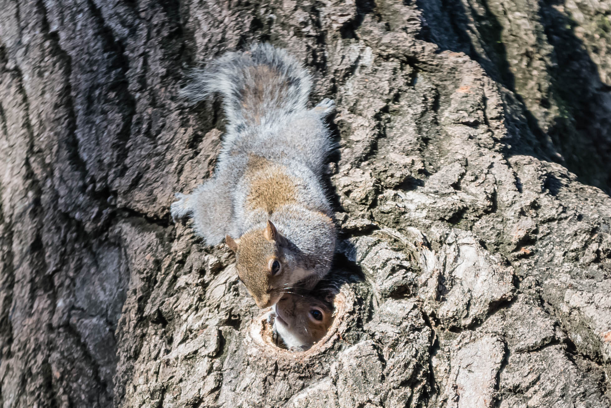 Esci che c'è il soleeee
