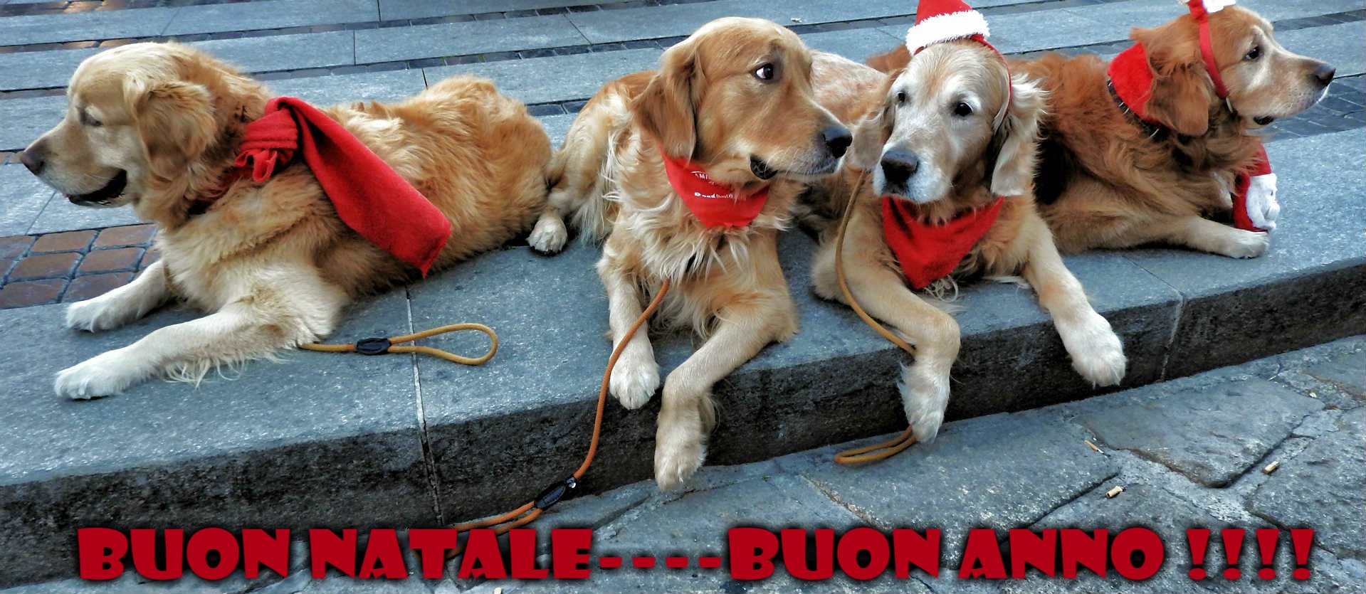 buon natale - buon anno 2018