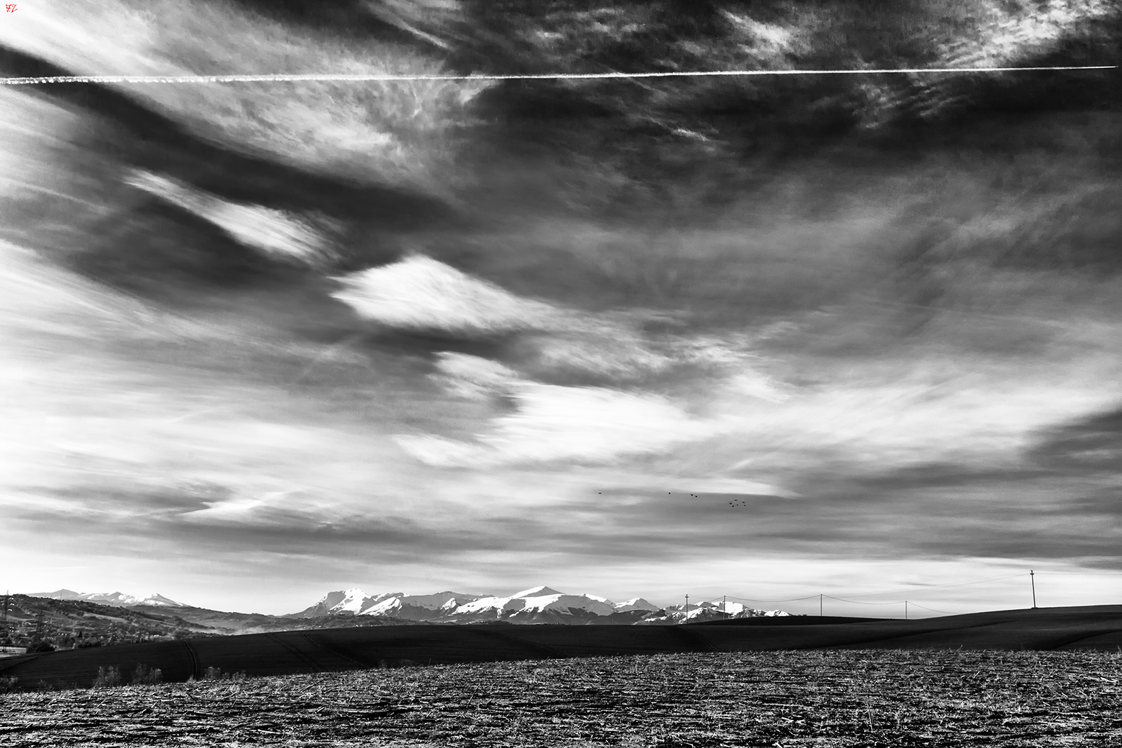 Sibillini in black and white