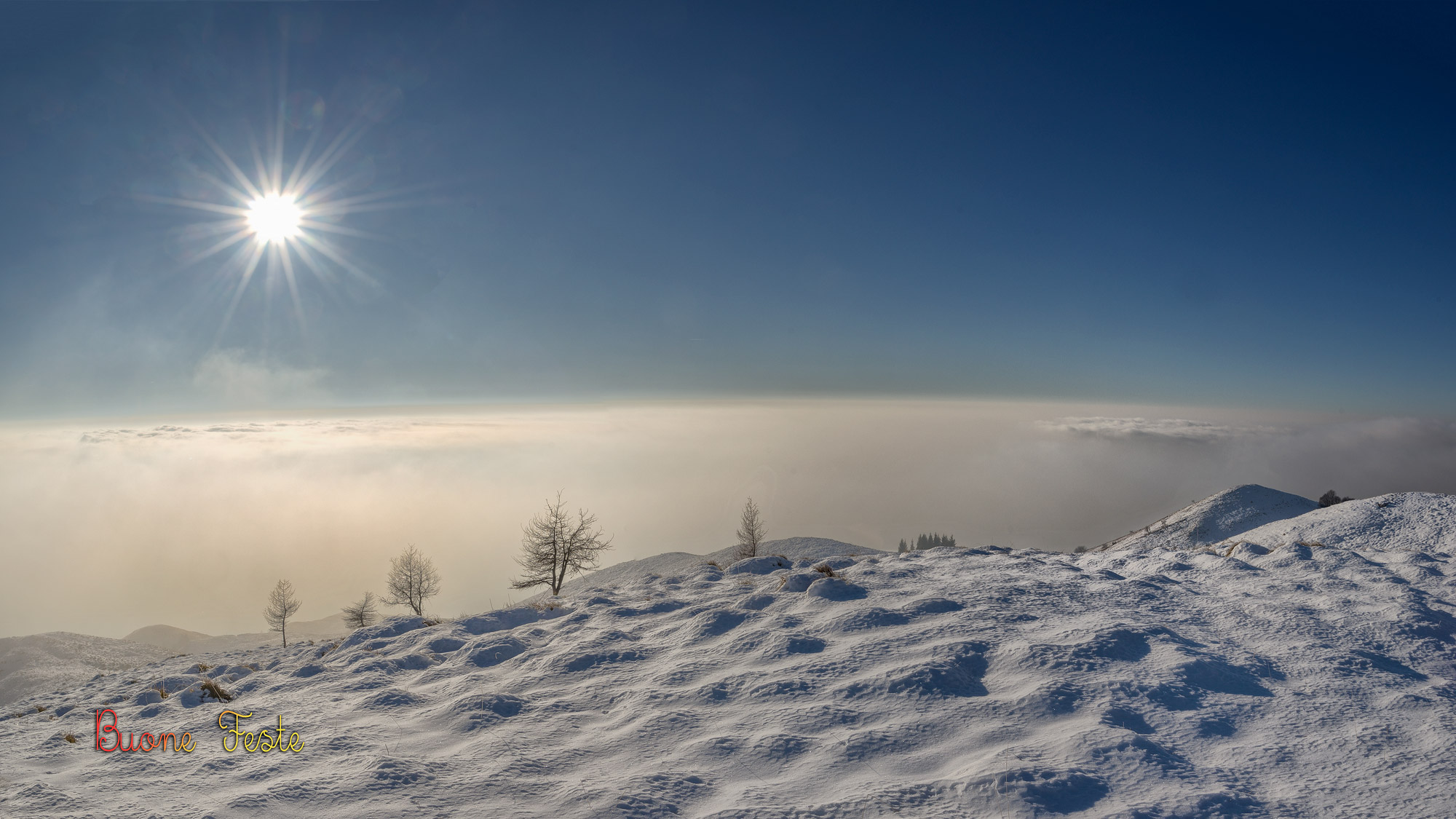 Auguri di Buone Feste