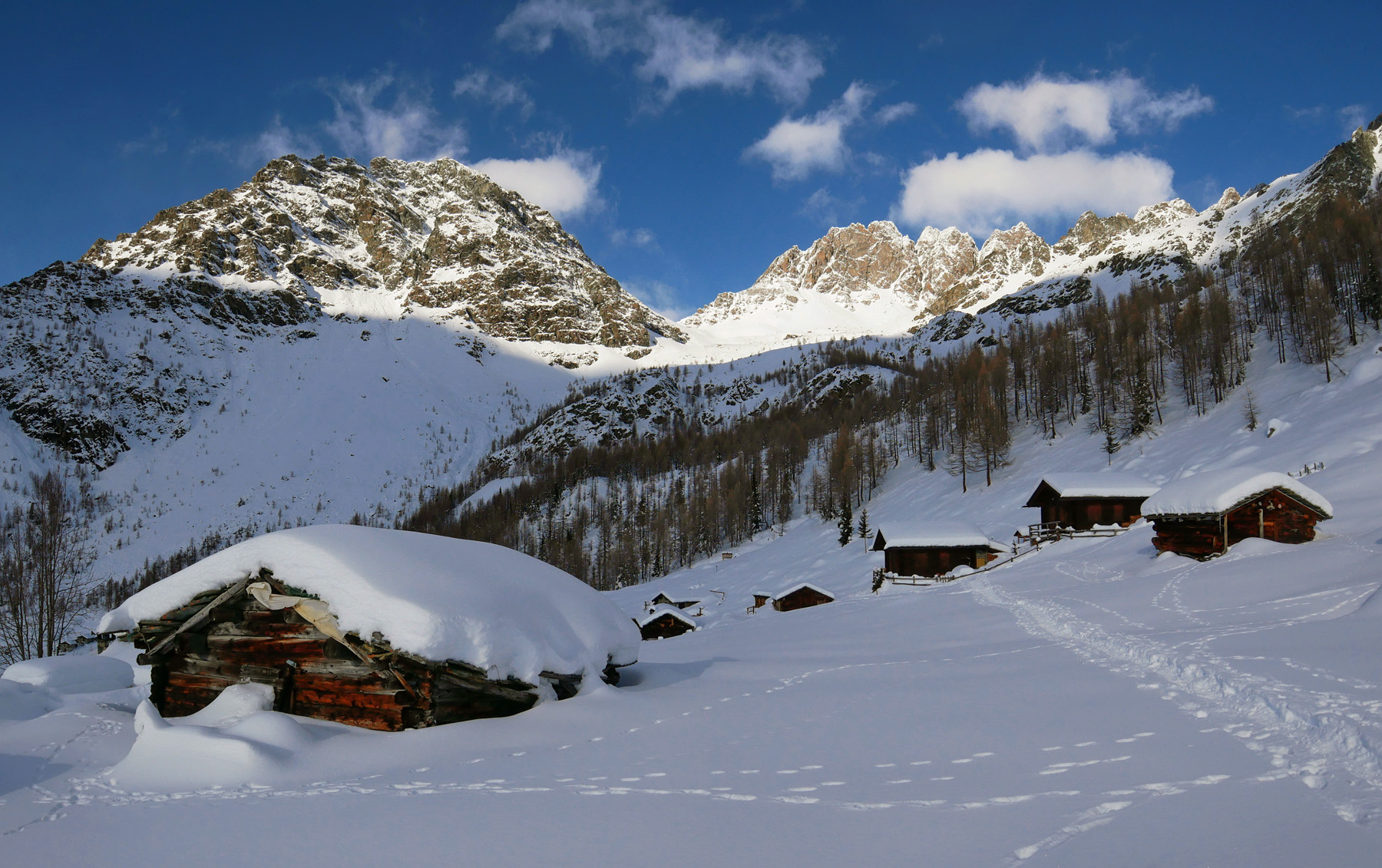 Alpe Musella