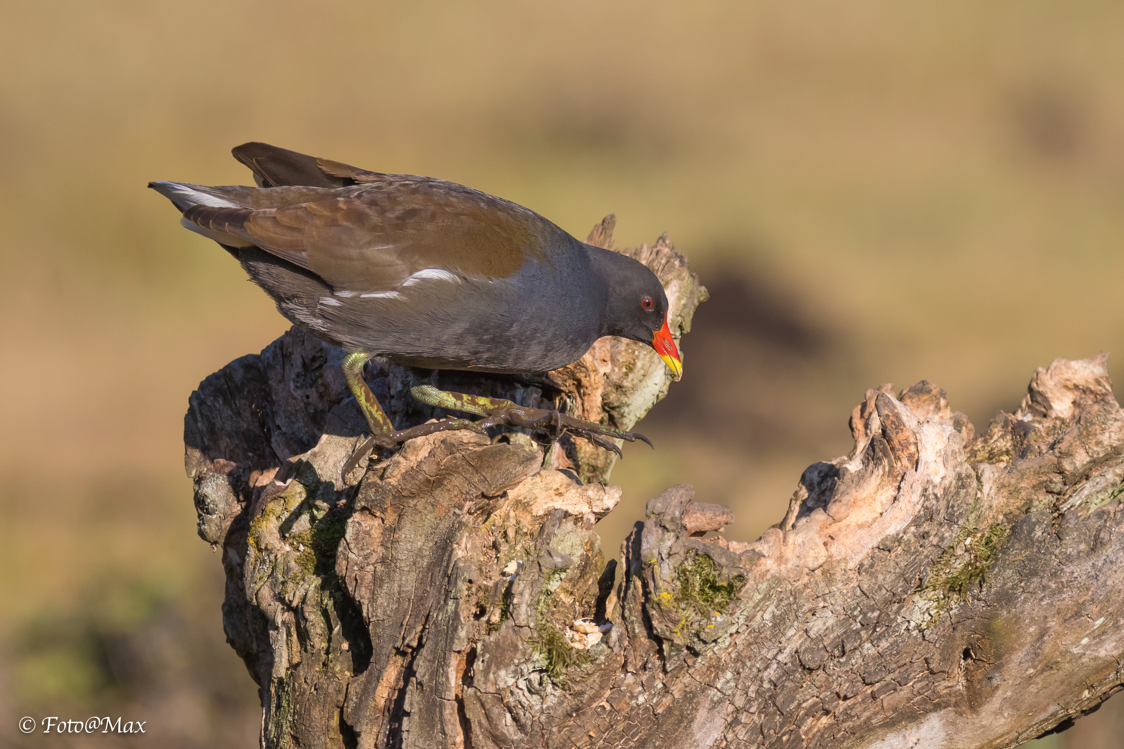 but where does this go?