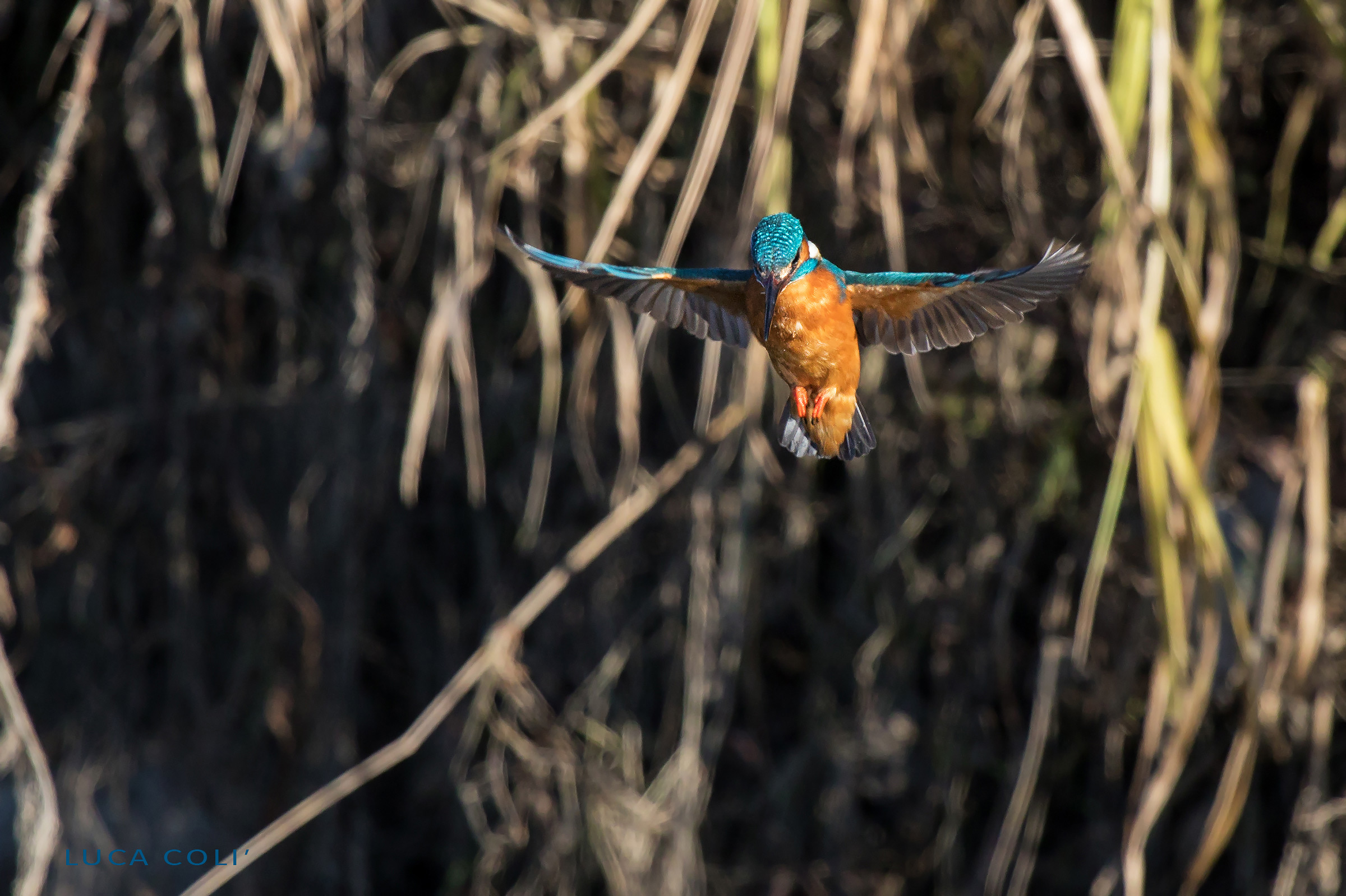 Martino in "Holy Spirit"