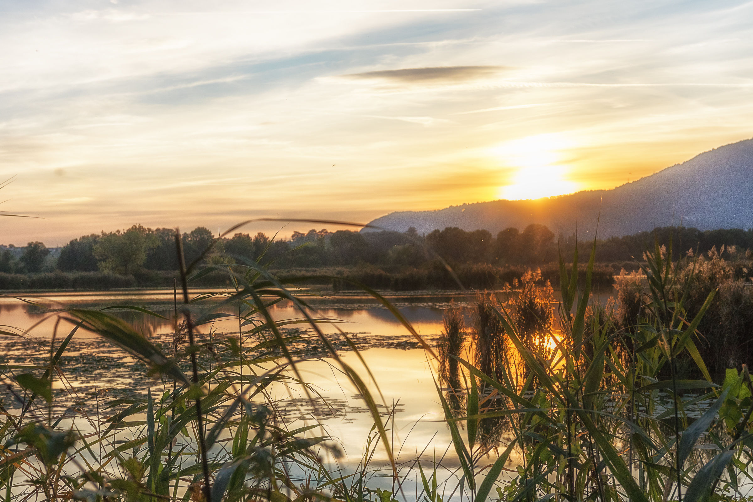 Tramonto sulle torbiere
